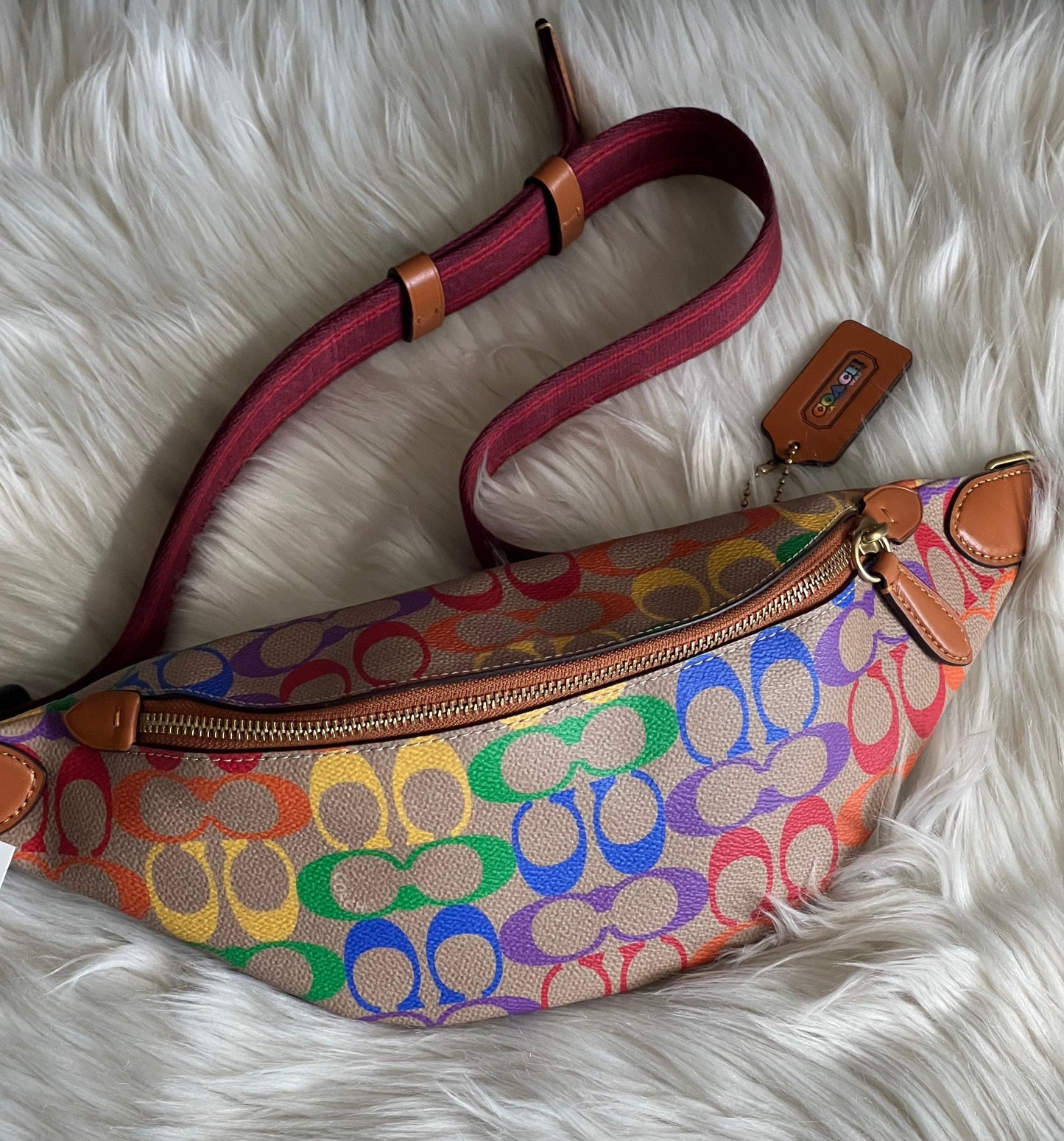 Coach Charter Belt Bag 7 in Rainbow Signature Canvas