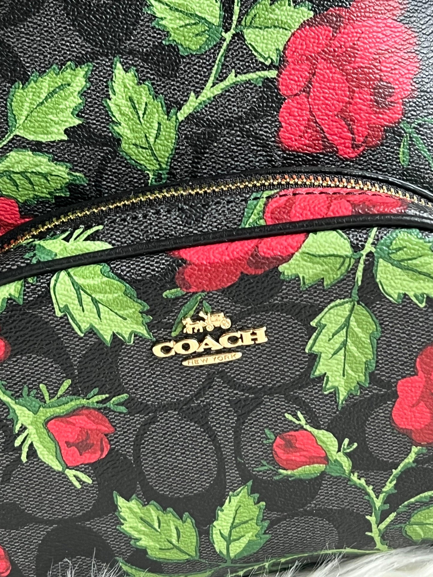 Coach Mini Court Backpack in Signature Canvas with Fairytale Rose Print