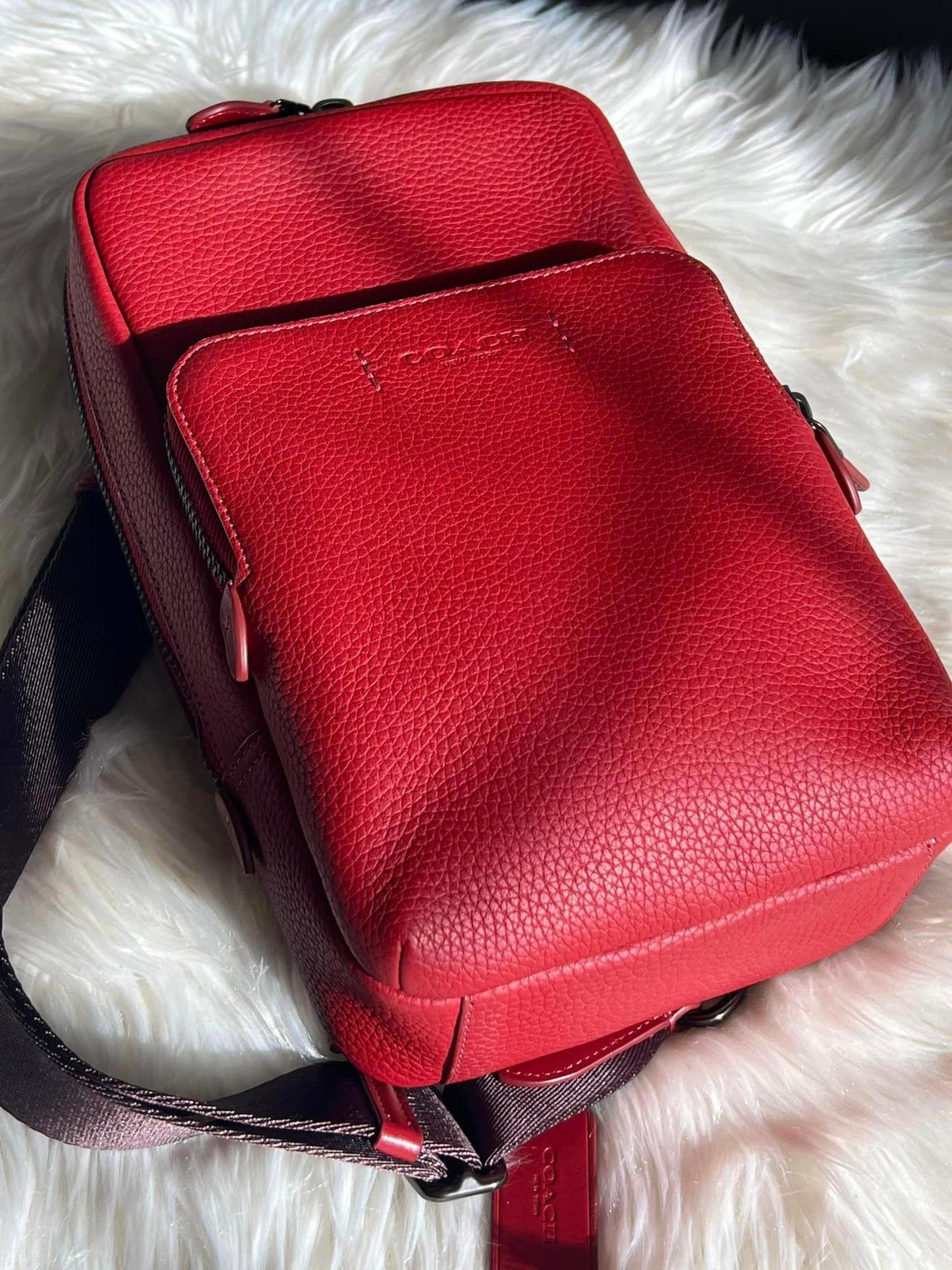 Coach Gotham Pack