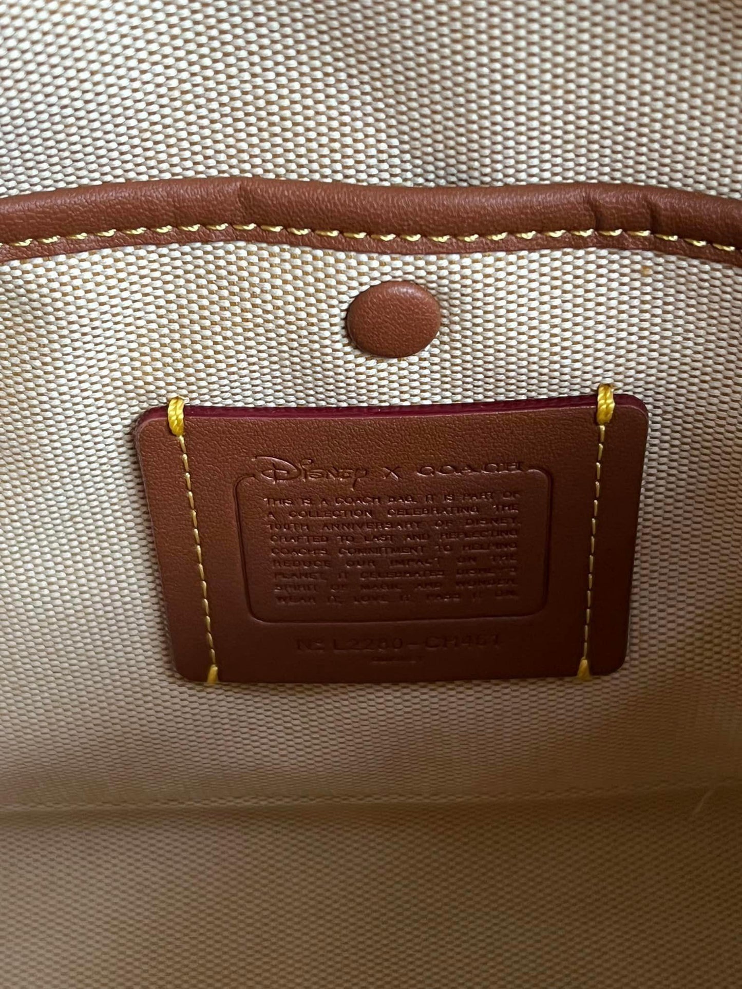 Disney X Coach Rogue 25 in Regenerative Leather with Mickey Mouse and Caterpillar
