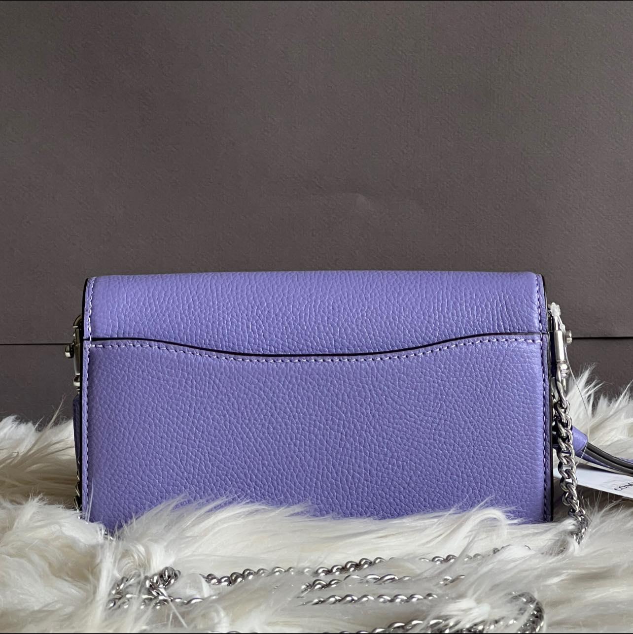 Coach Tabby Crossbody Wristlet