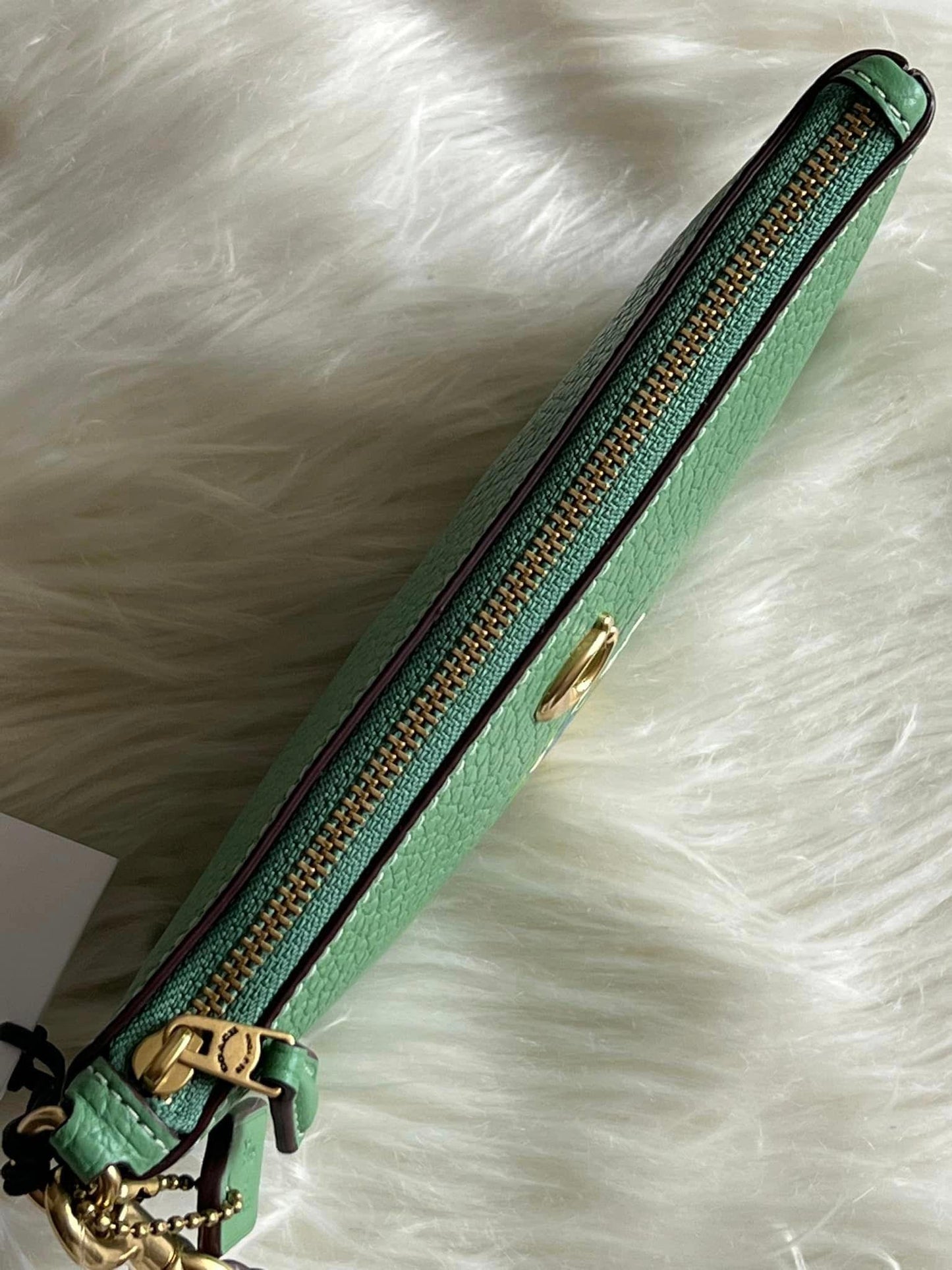 Disney X Coach Small Wristlet in Regenerative Leather with Donald Duck