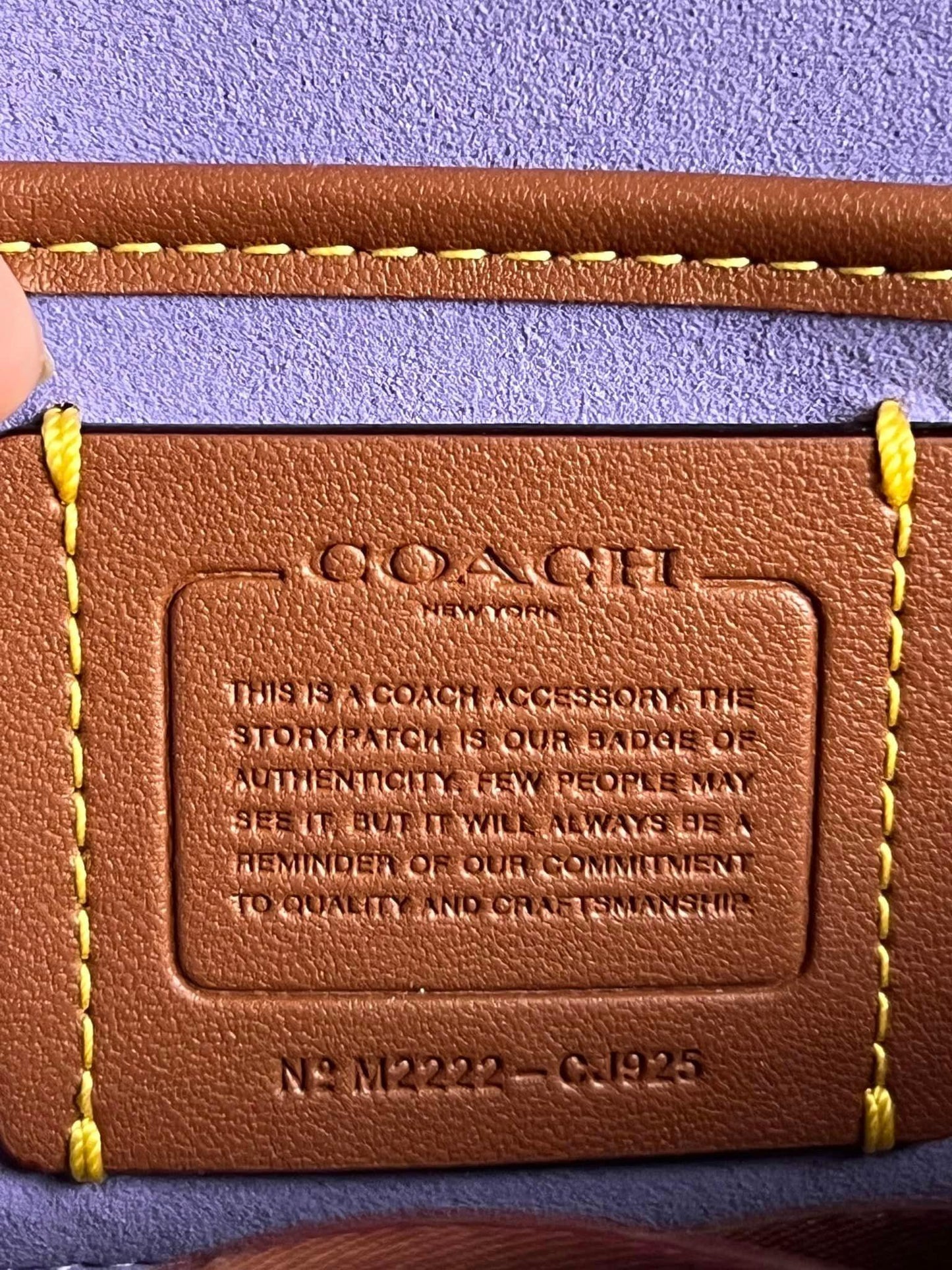 Coach Tabby Crossbody Wristlet