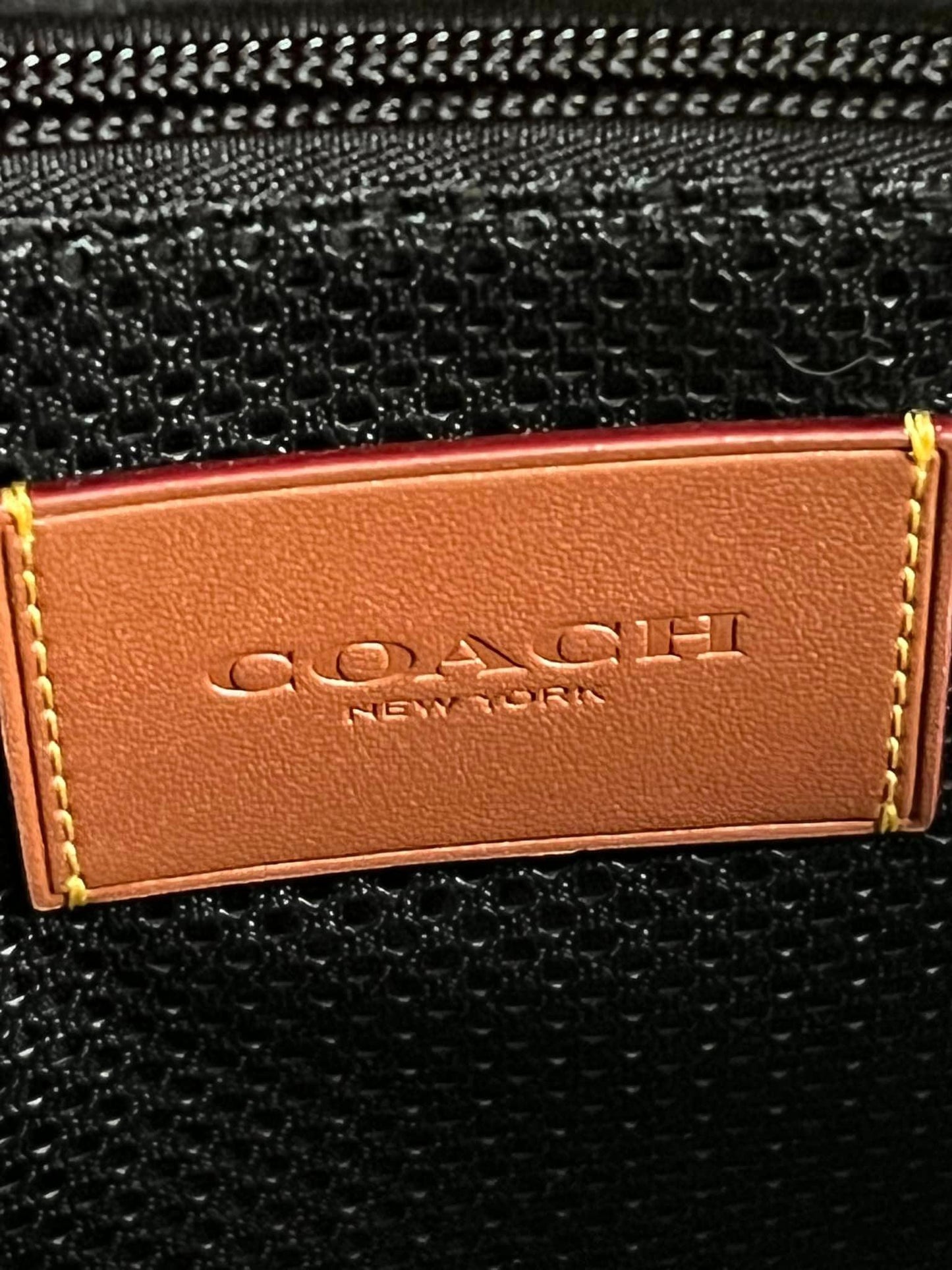Coach Charter Backpack In Signature Canvas with Rexy Print