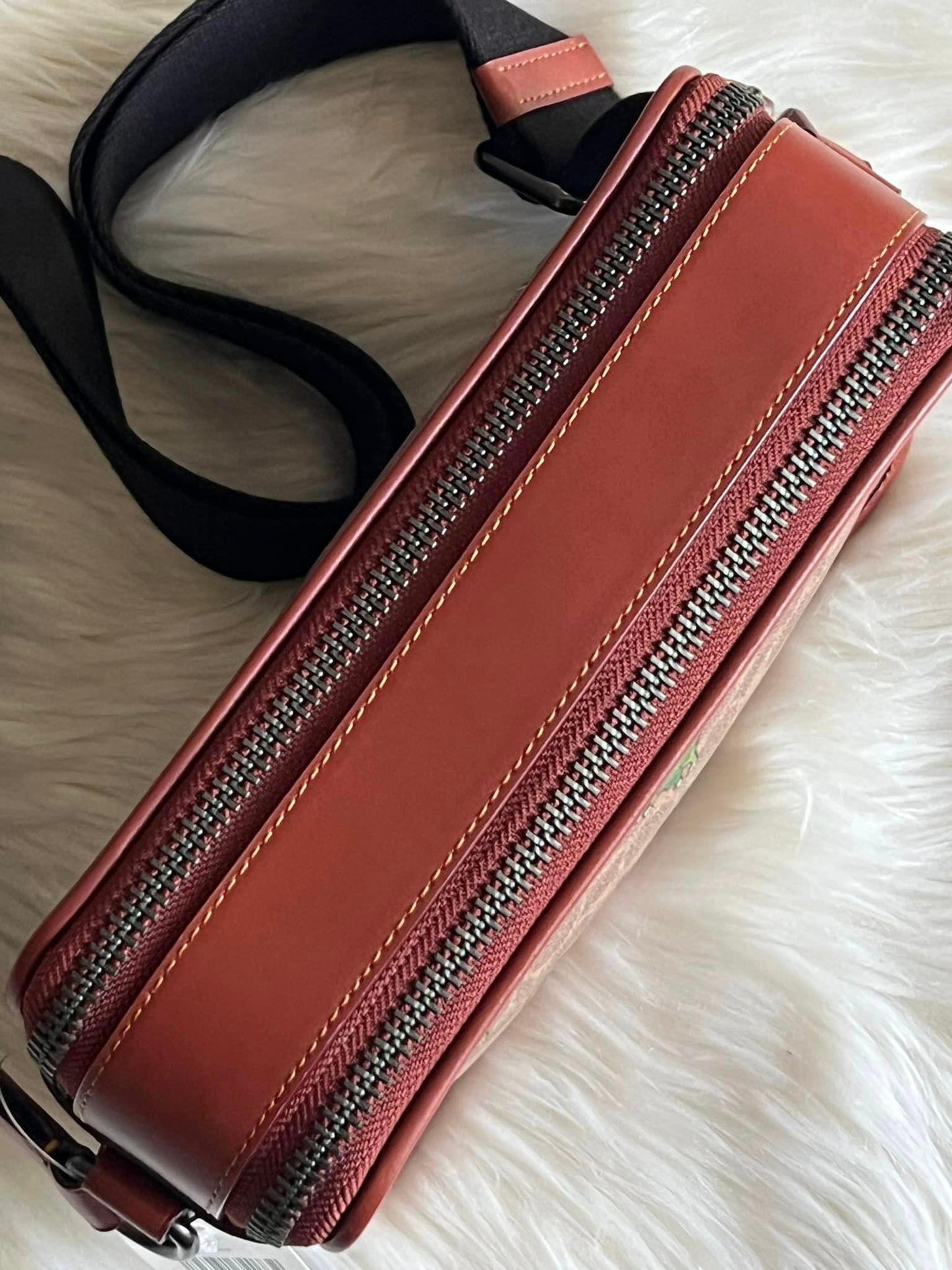 Coach Charter Crossbody 24 Signature Canvas with Rexy Print