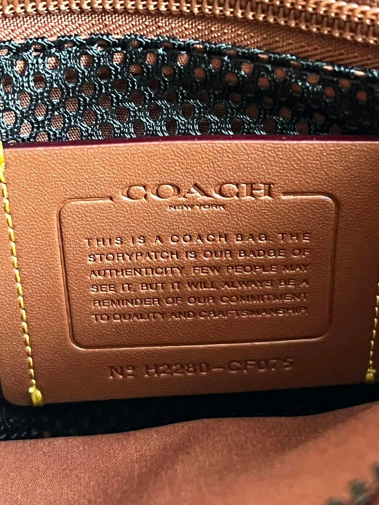 Coach Charter Crossbody 24 Signature Canvas with Rexy Print