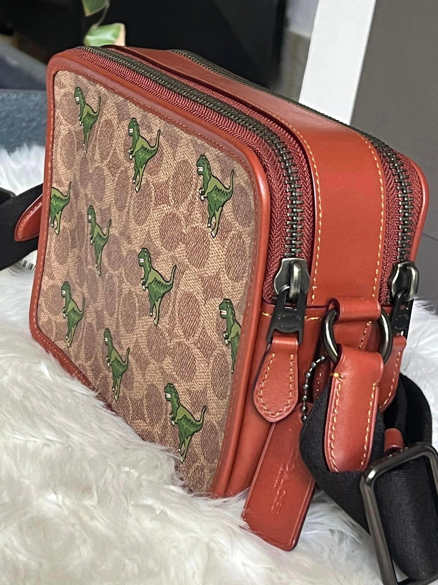 Coach Charter Crossbody 24 Signature Canvas with Rexy Print