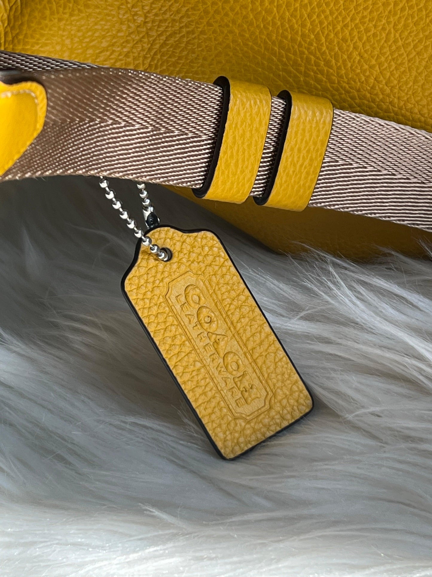 Coach Charter Belt Bag 7