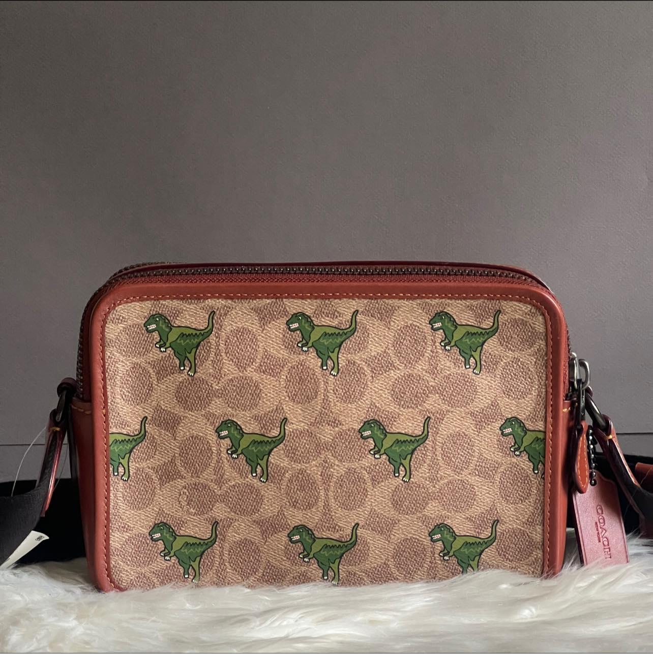 Coach Charter Crossbody 24 Signature Canvas with Rexy Print