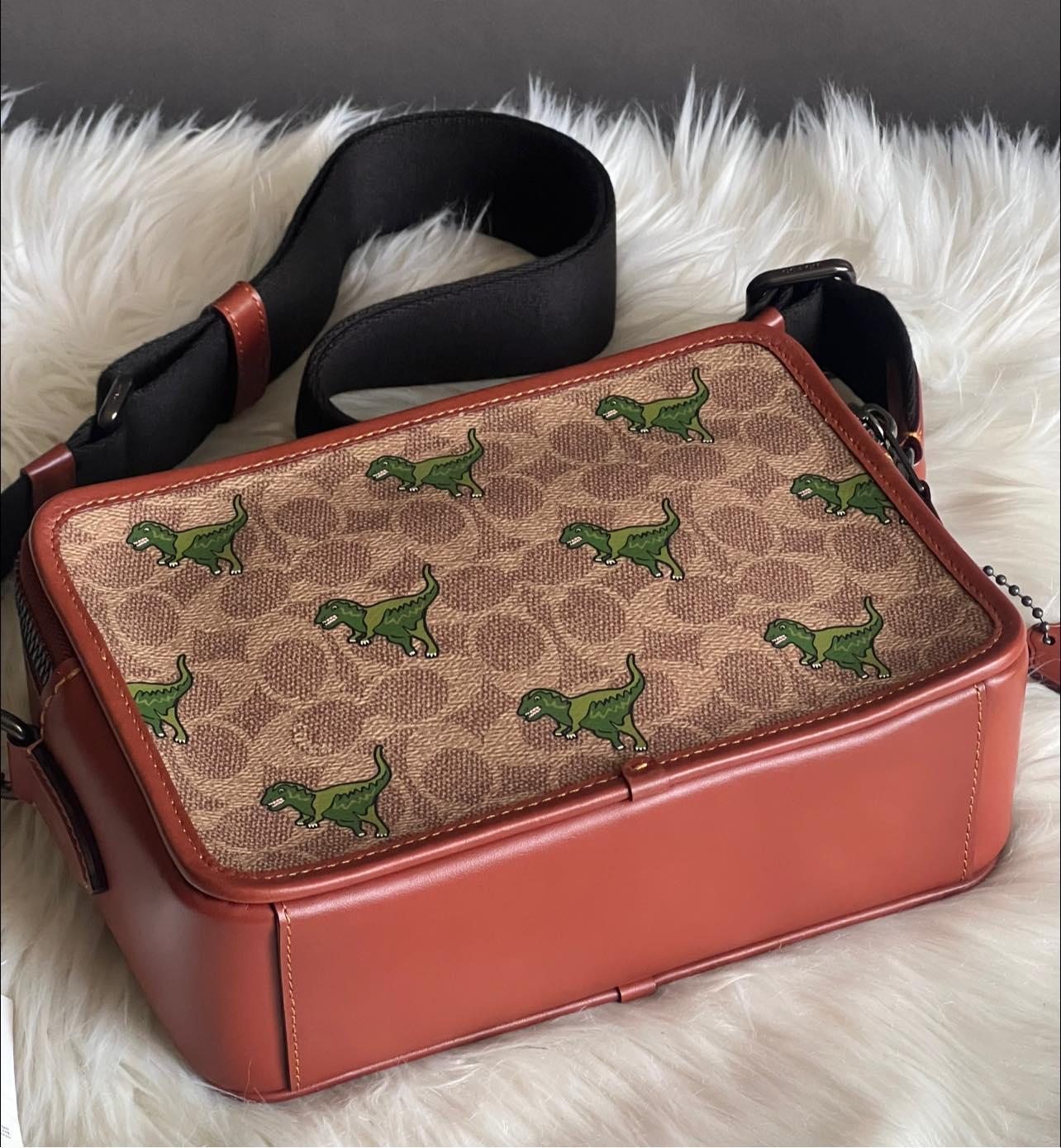 Coach Charter Crossbody 24 Signature Canvas with Rexy Print