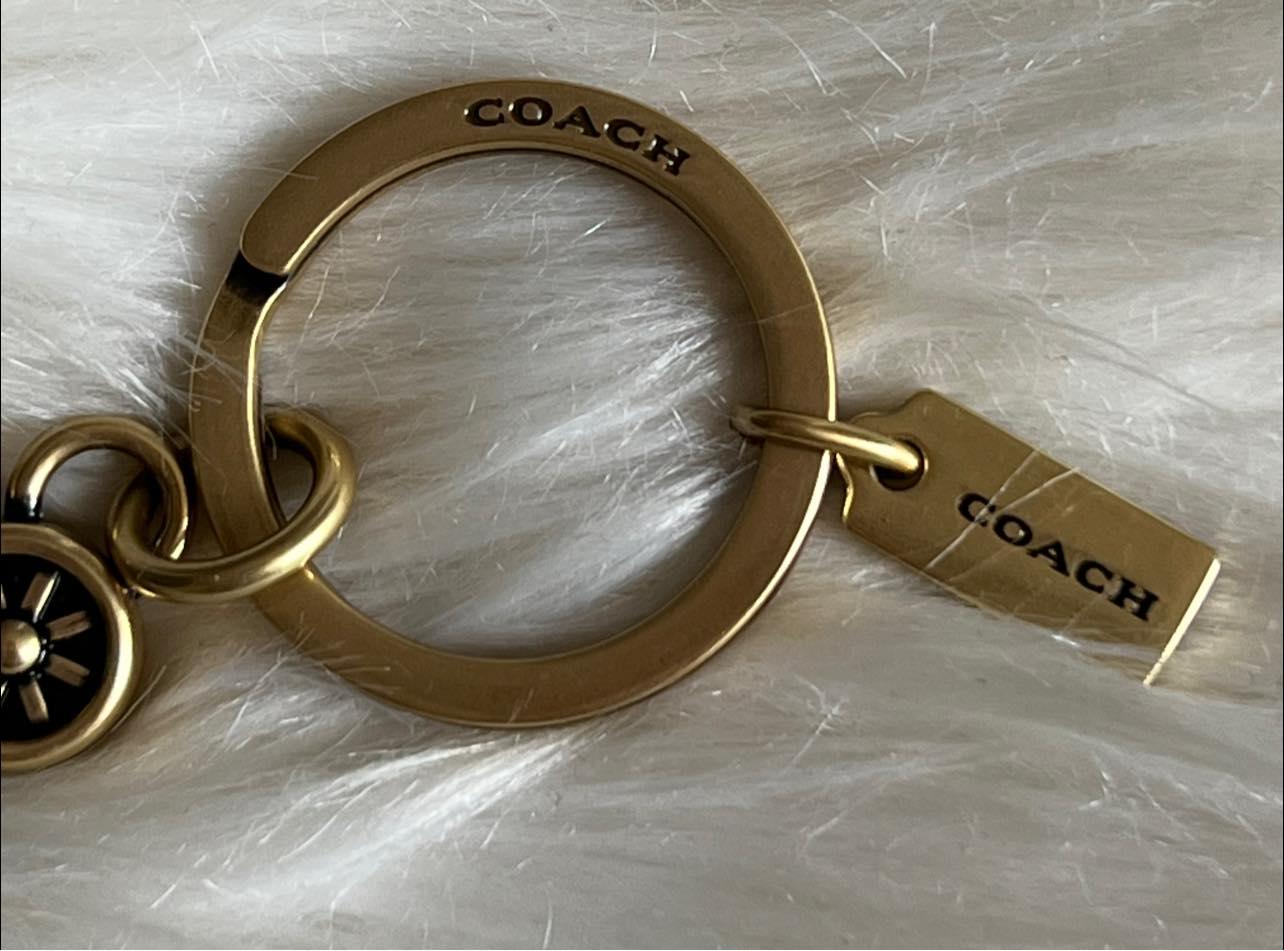 Coach Horse and Carriage Valet