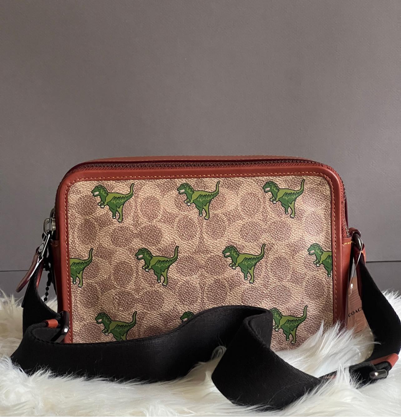 Coach Charter Crossbody 24 Signature Canvas with Rexy Print