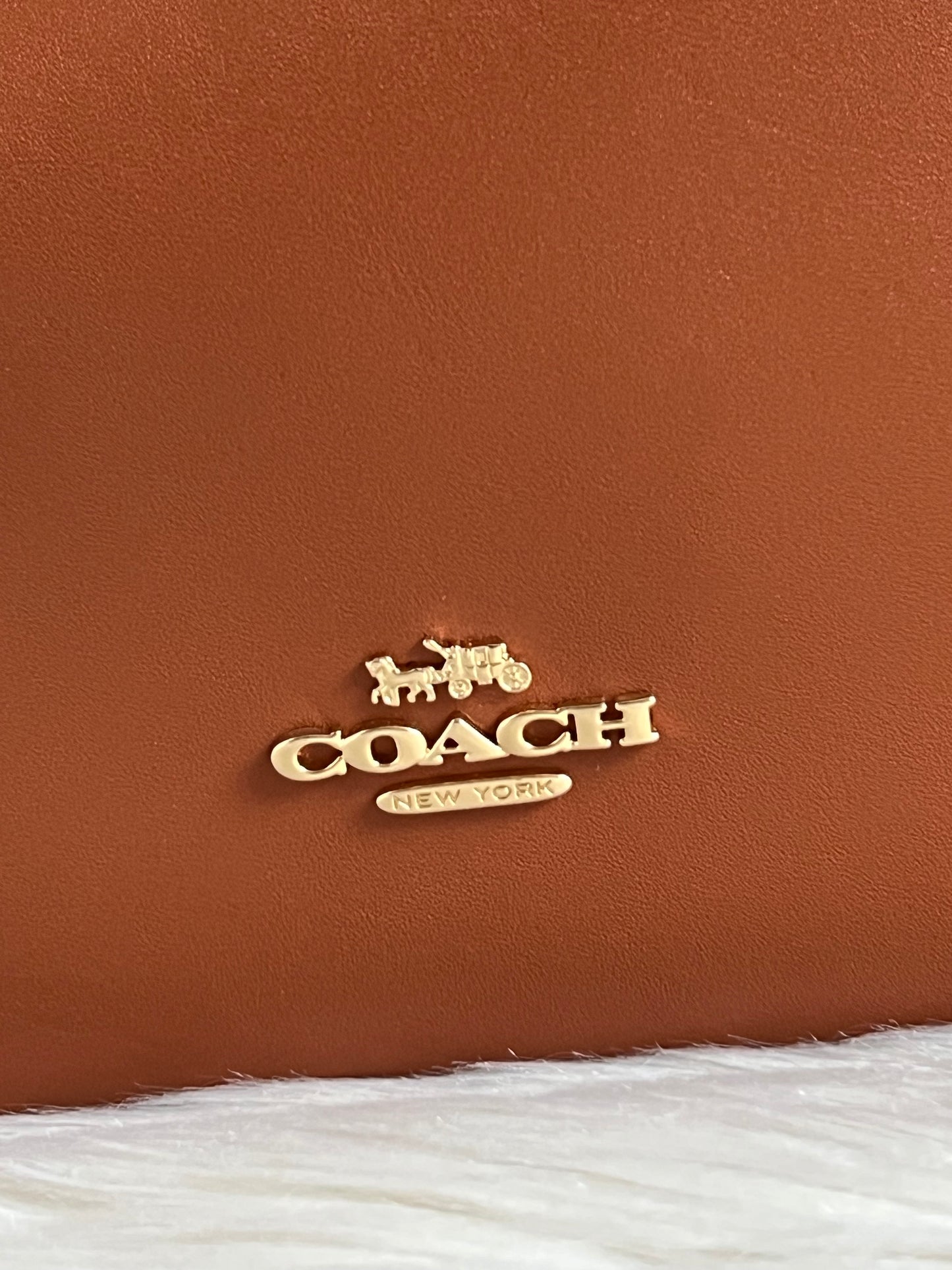 Coach Hadley Convertible Crossbody
