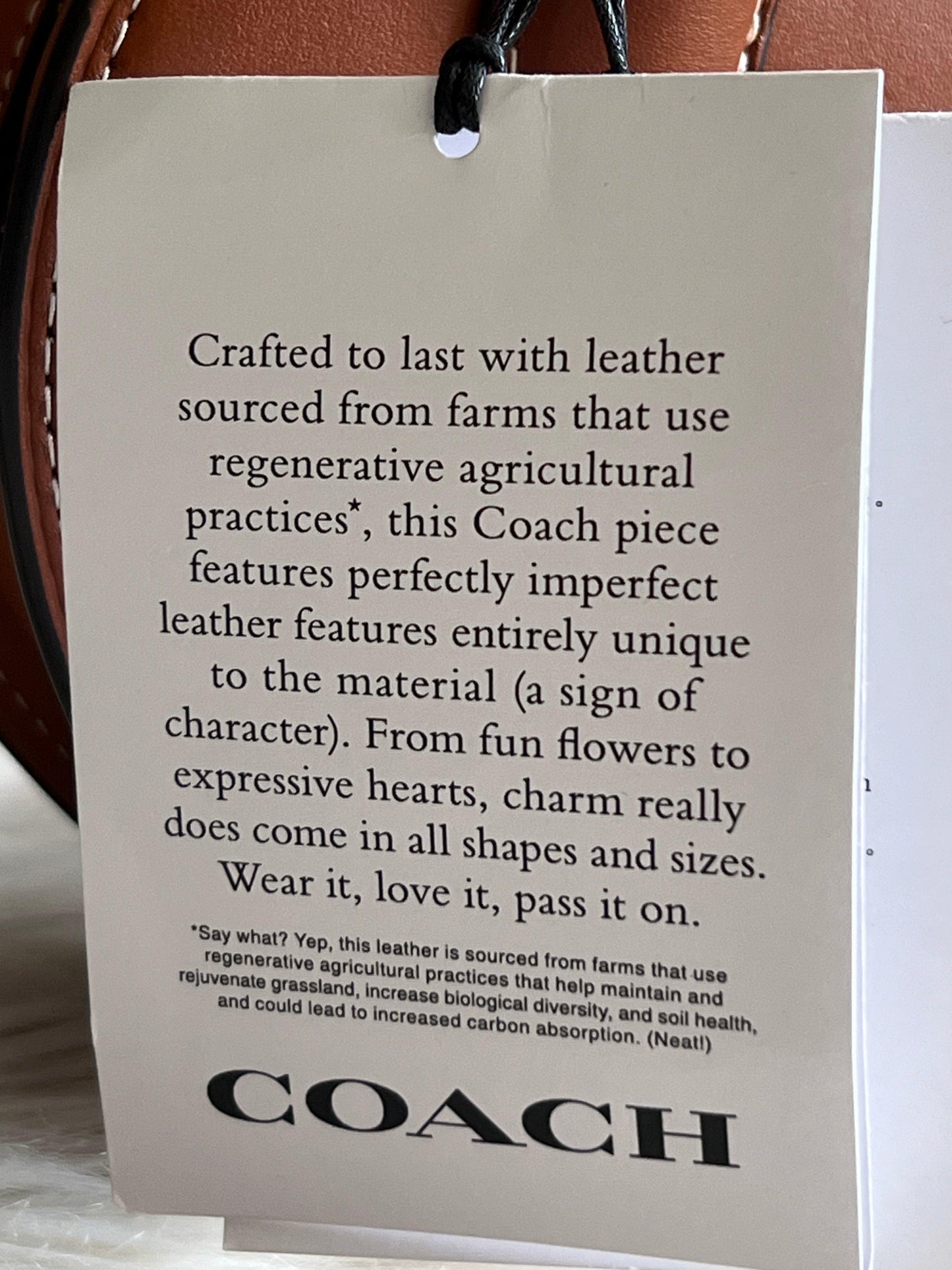 Coach Heart Bag in Regenerative Leather