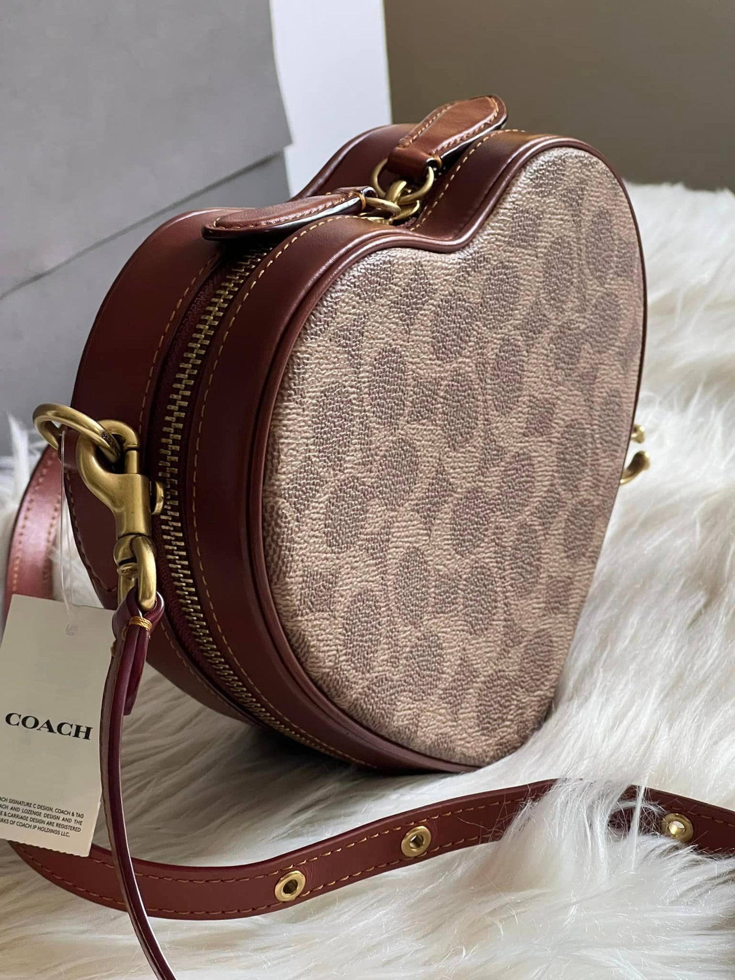 Coach Heart Crossbody in Signature Canvas