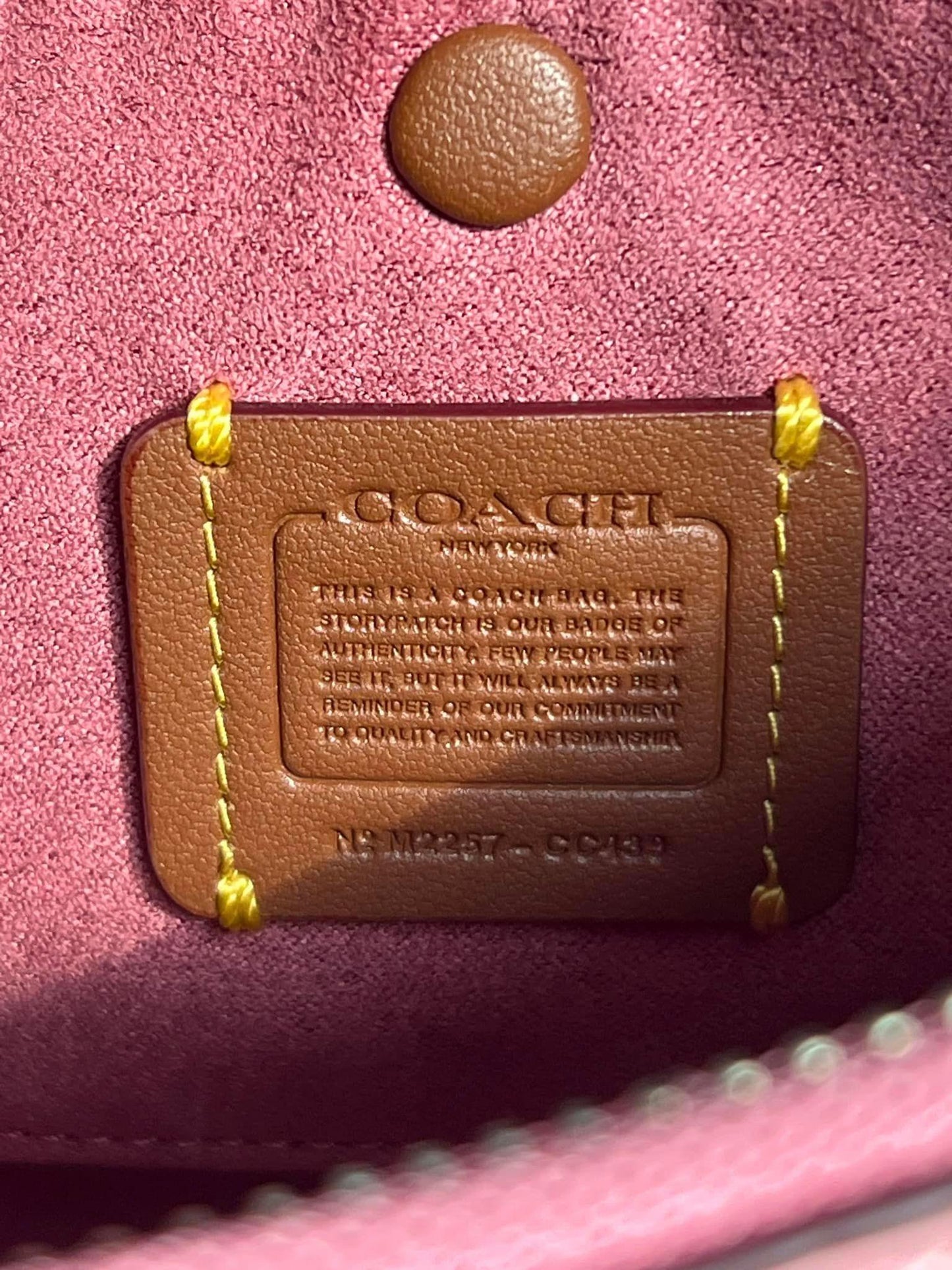 Coach Luna Shoulder Bag