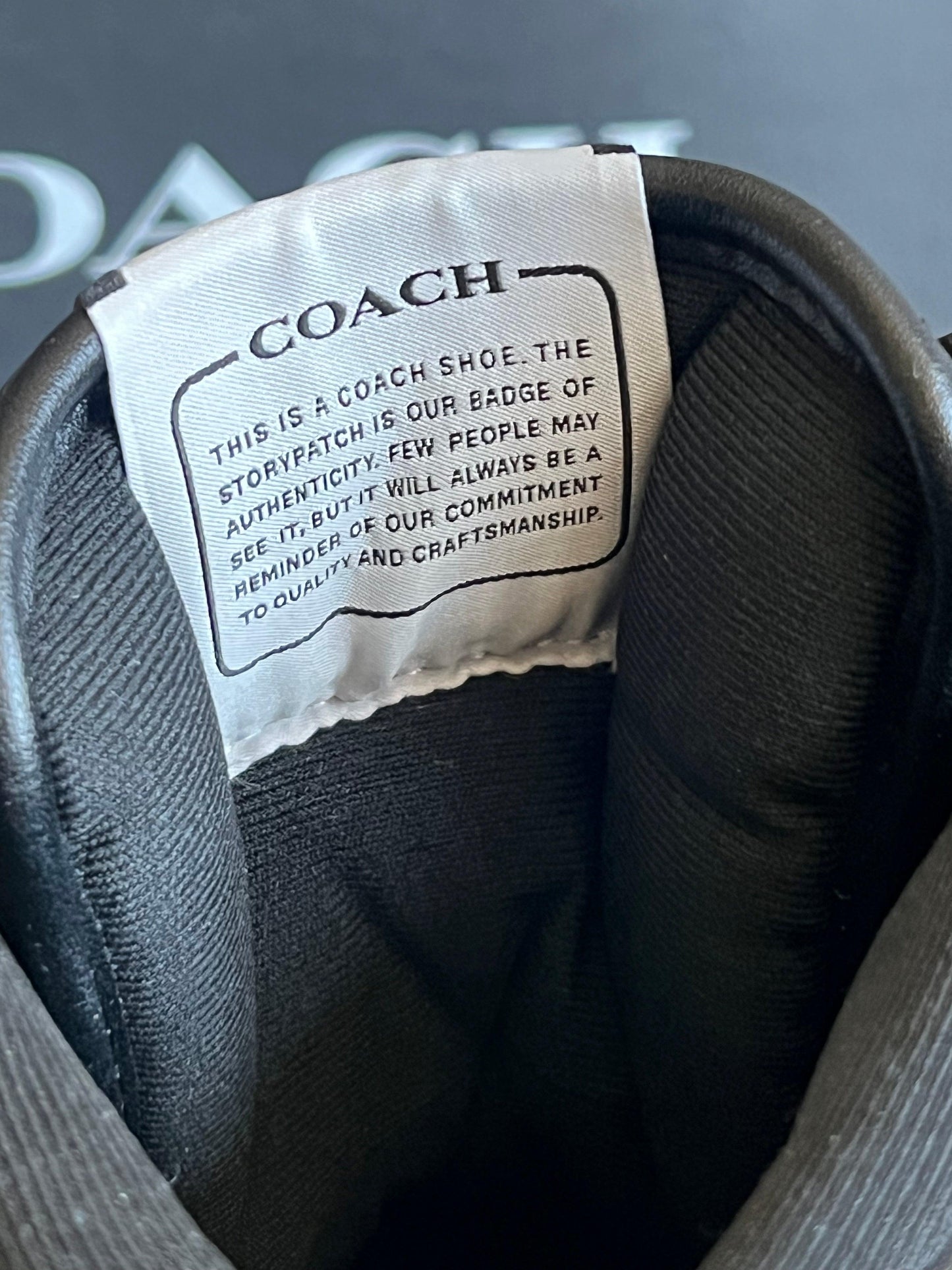 Coach High Top Sneaker in Signature Canvas
