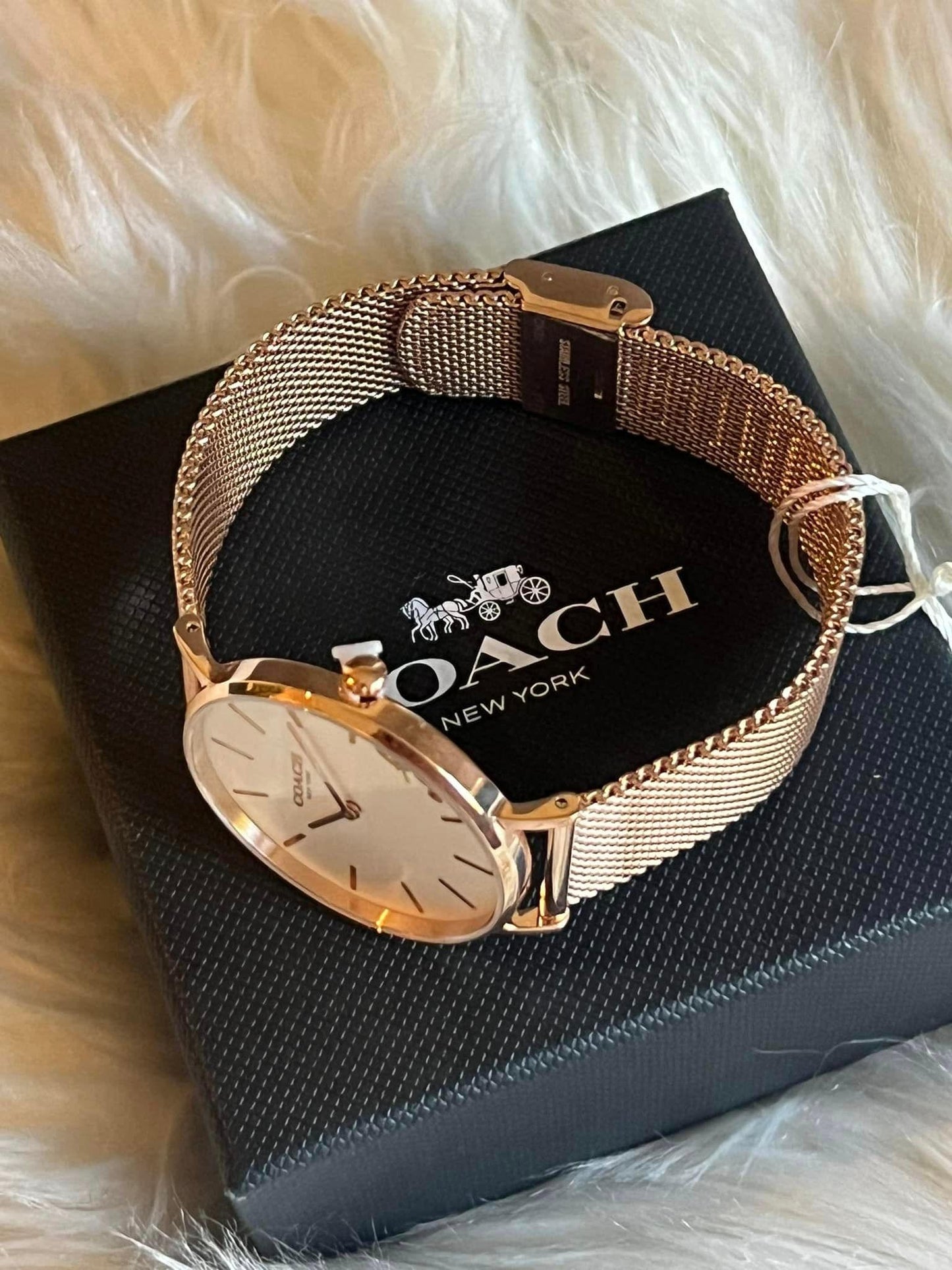 Coach Perry Silver Dial Rose Gold Women’s Watch