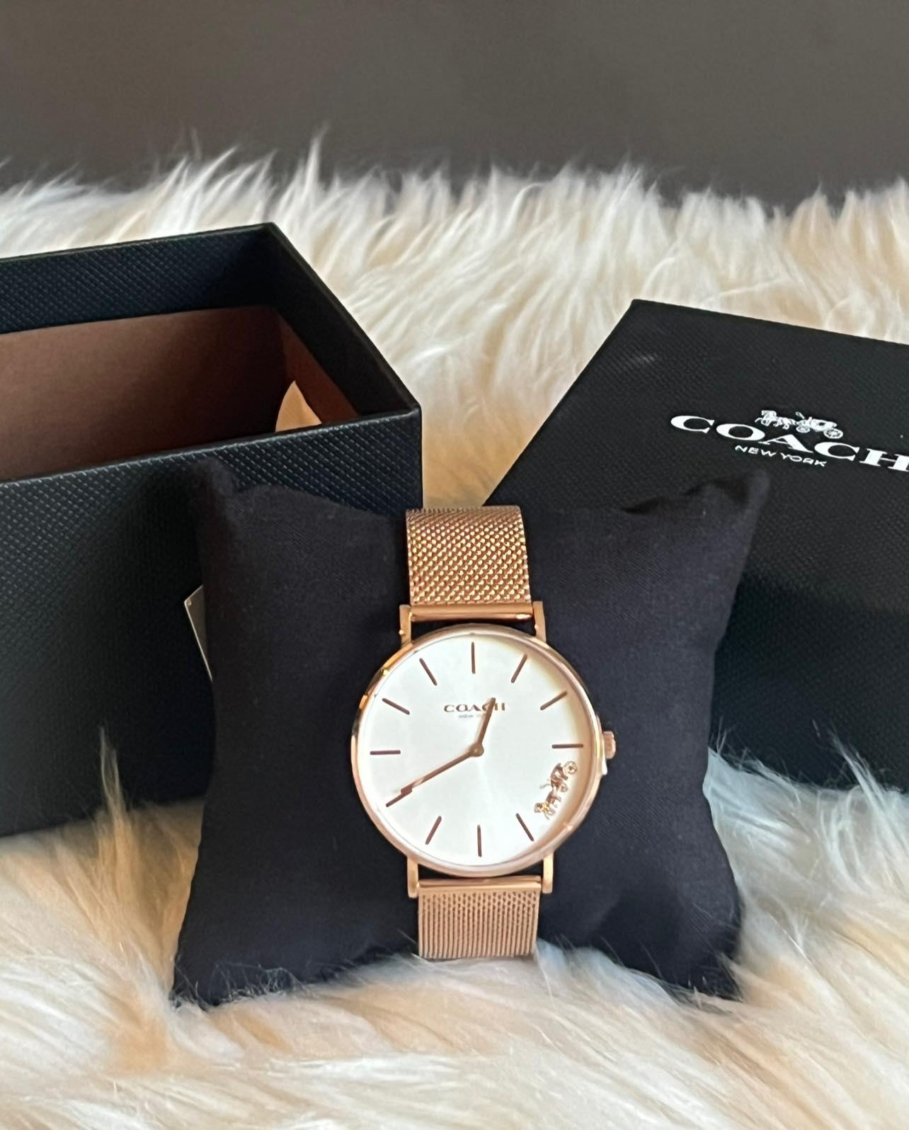 Coach Perry Silver Dial Rose Gold Women’s Watch