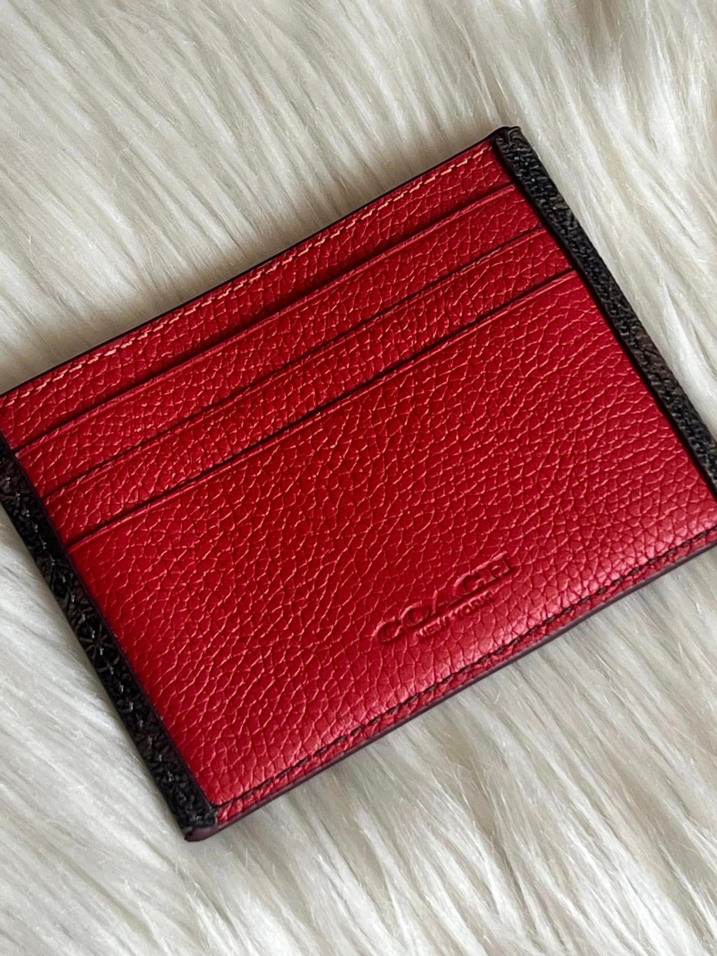 Coach Card Case with Horse and Carriage Print