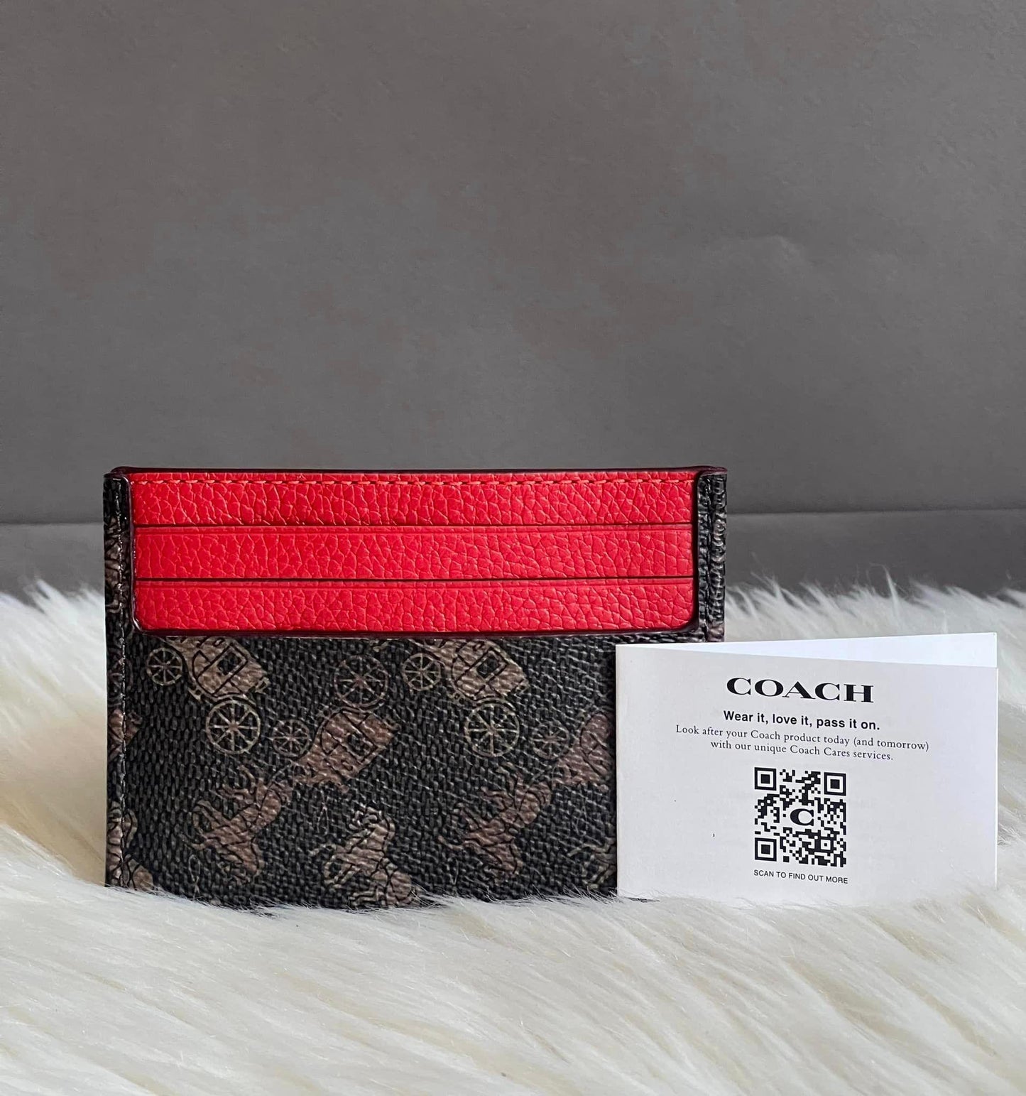 Coach Card Case with Horse and Carriage Print