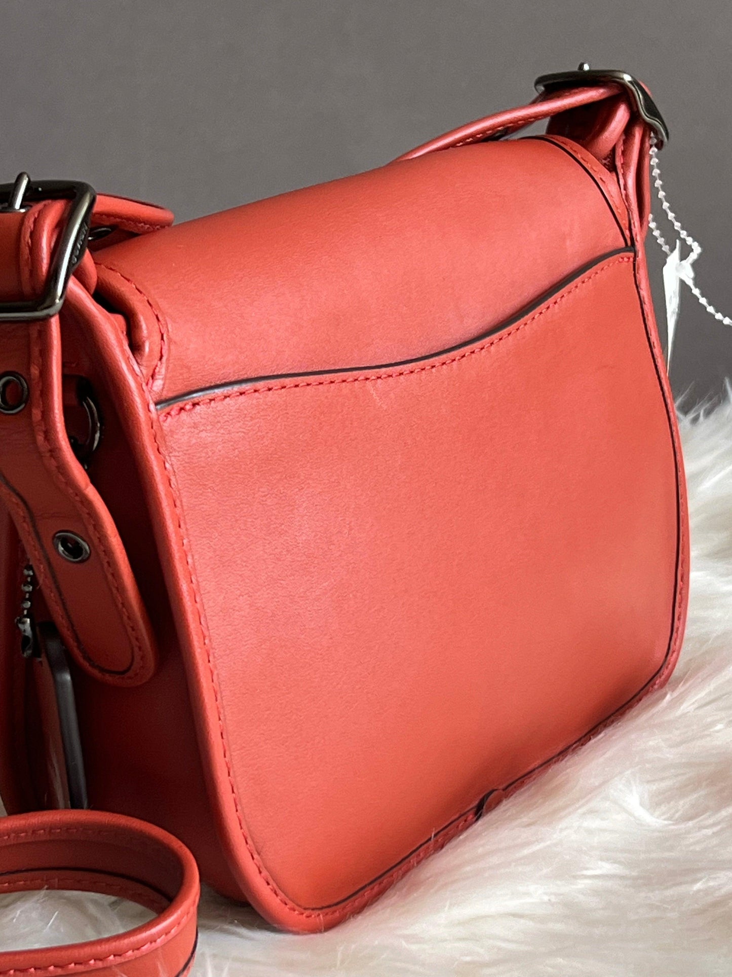 Coach Saddle 18