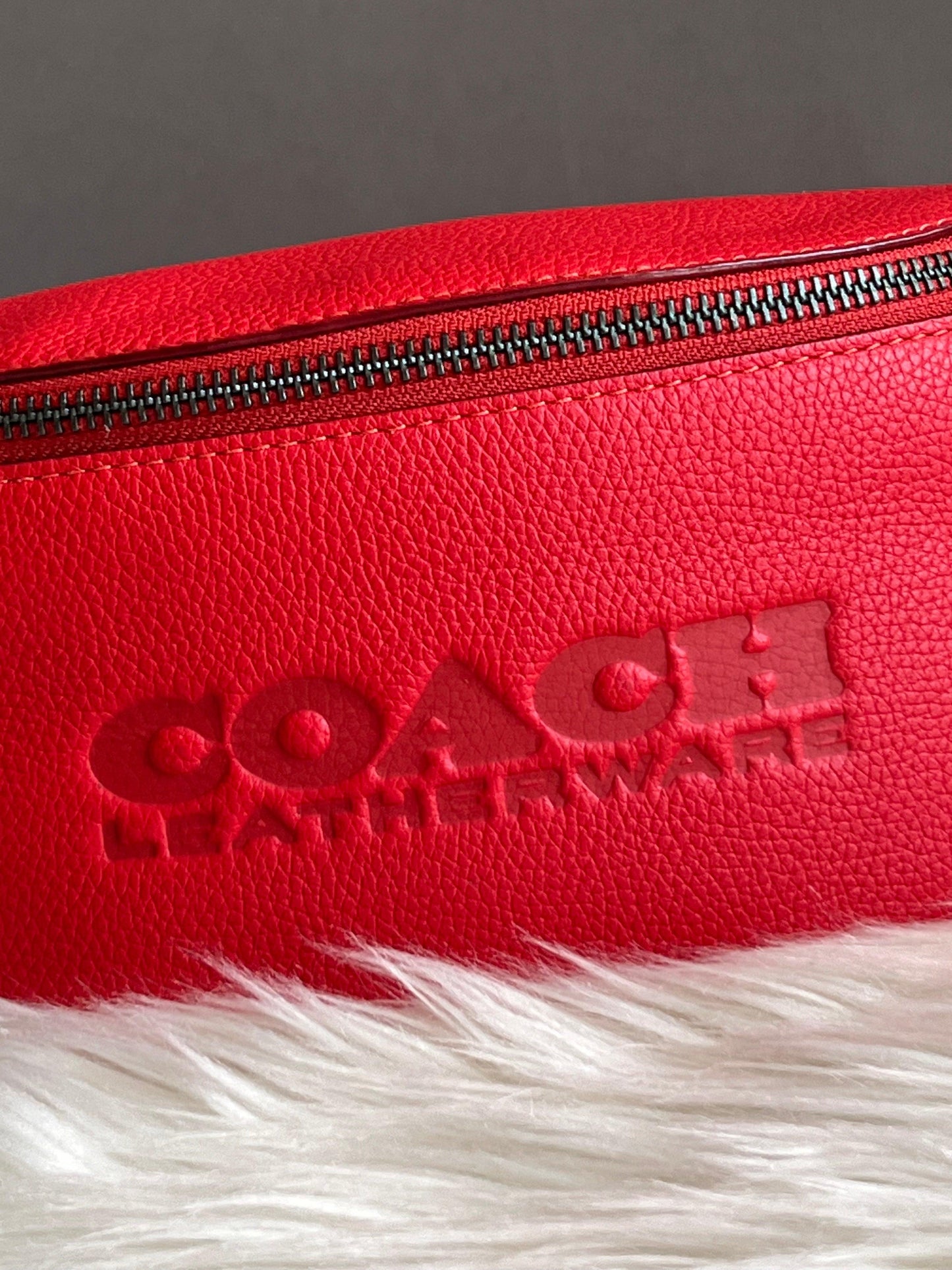 Coach Charter Belt Bag 7