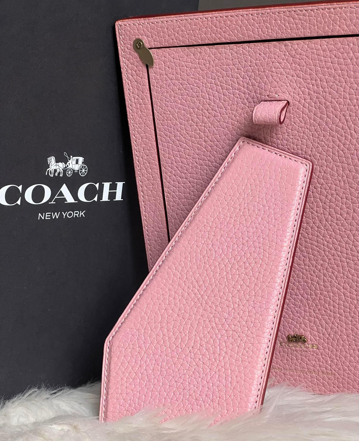 Coach Picture Frame