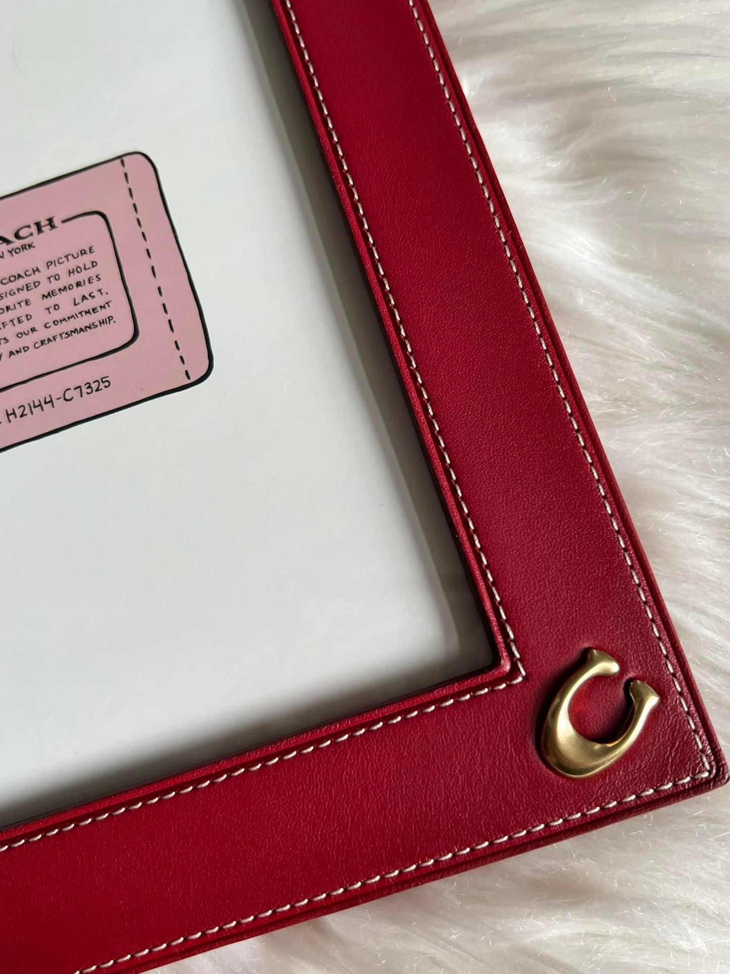 Coach Picture Frame