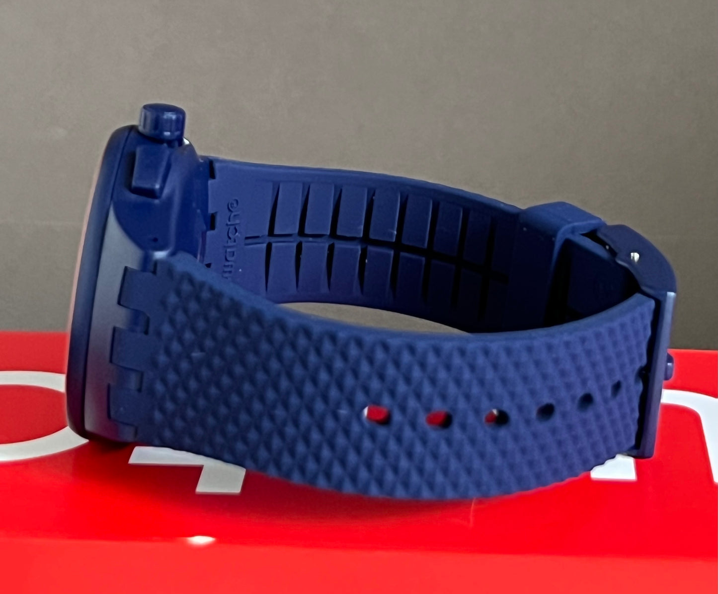 Swatch Parabordo Watch