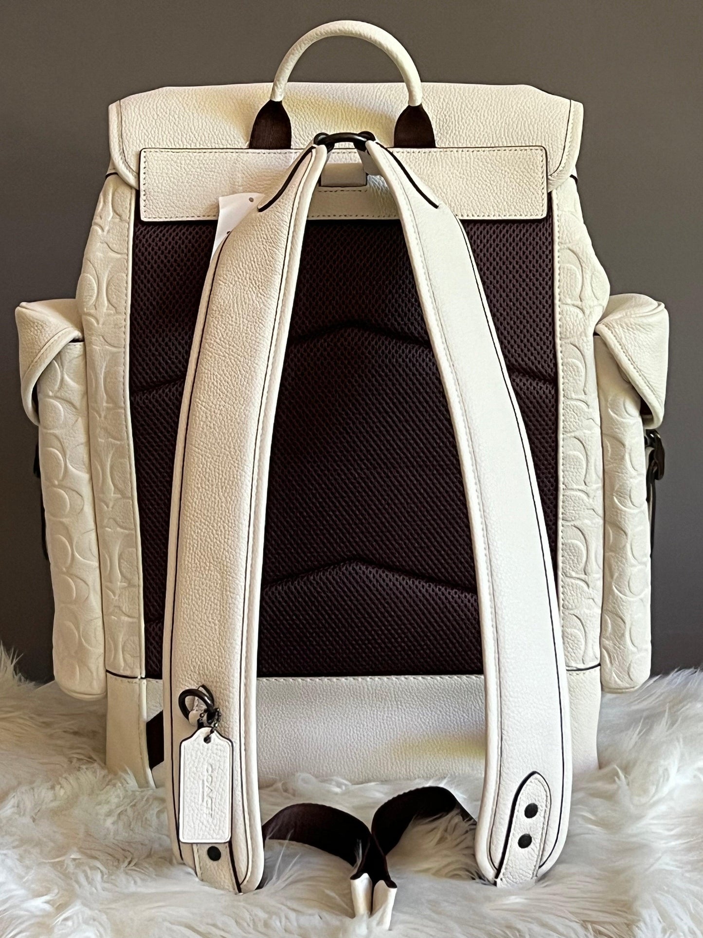 Coach Hitch Backpack in Signature Leather