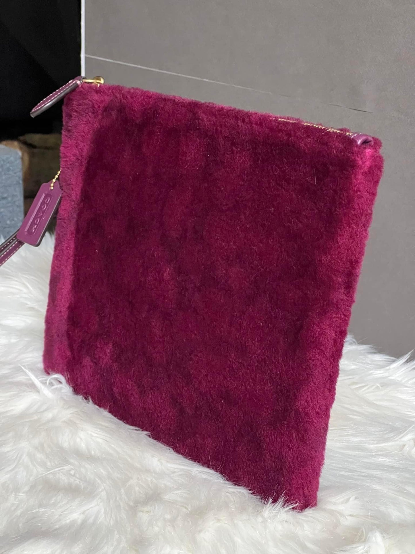 Coach Charter Pouch in Signature Shearling