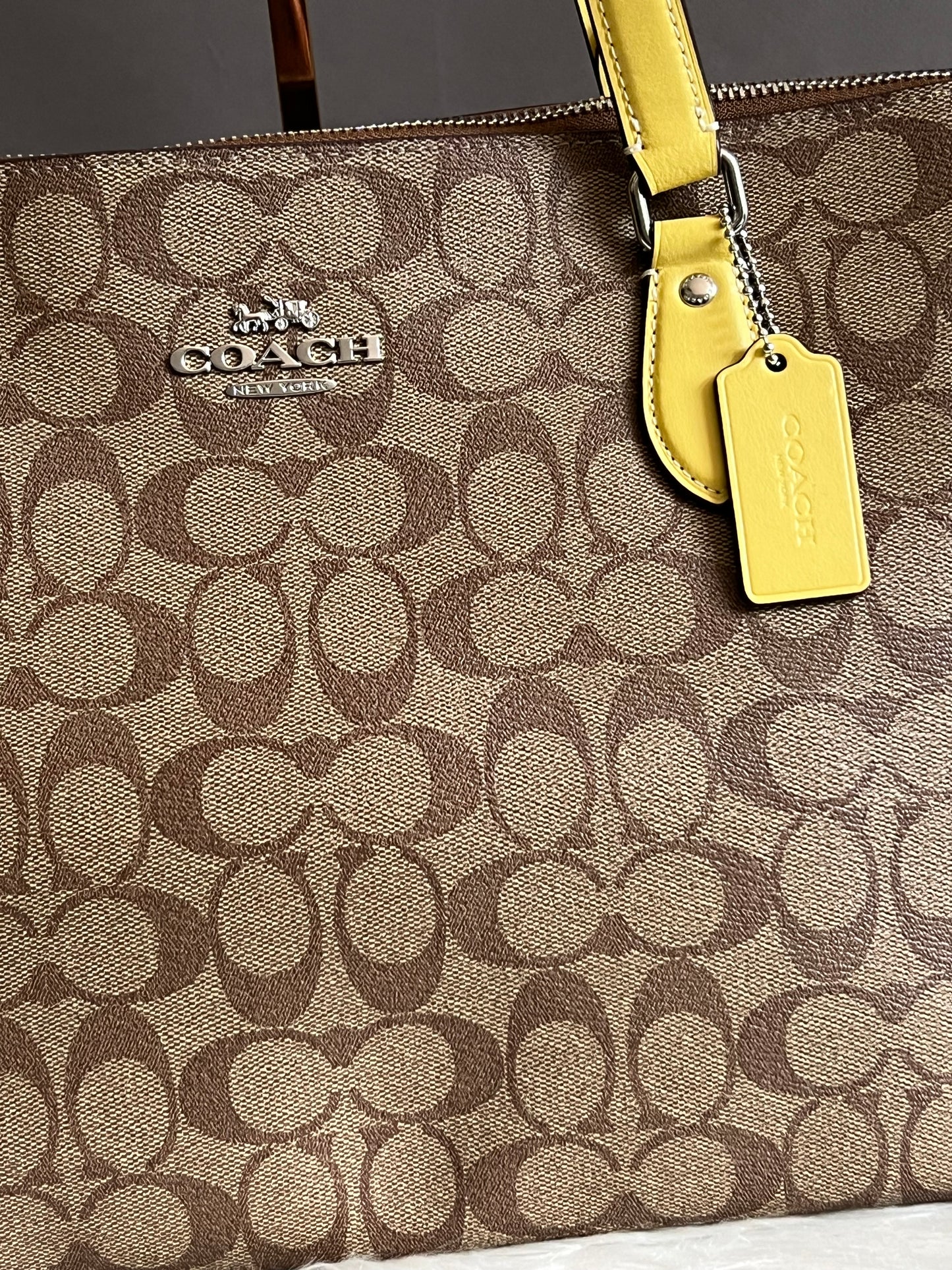 Coach Gallery Tote in Signature Canvas