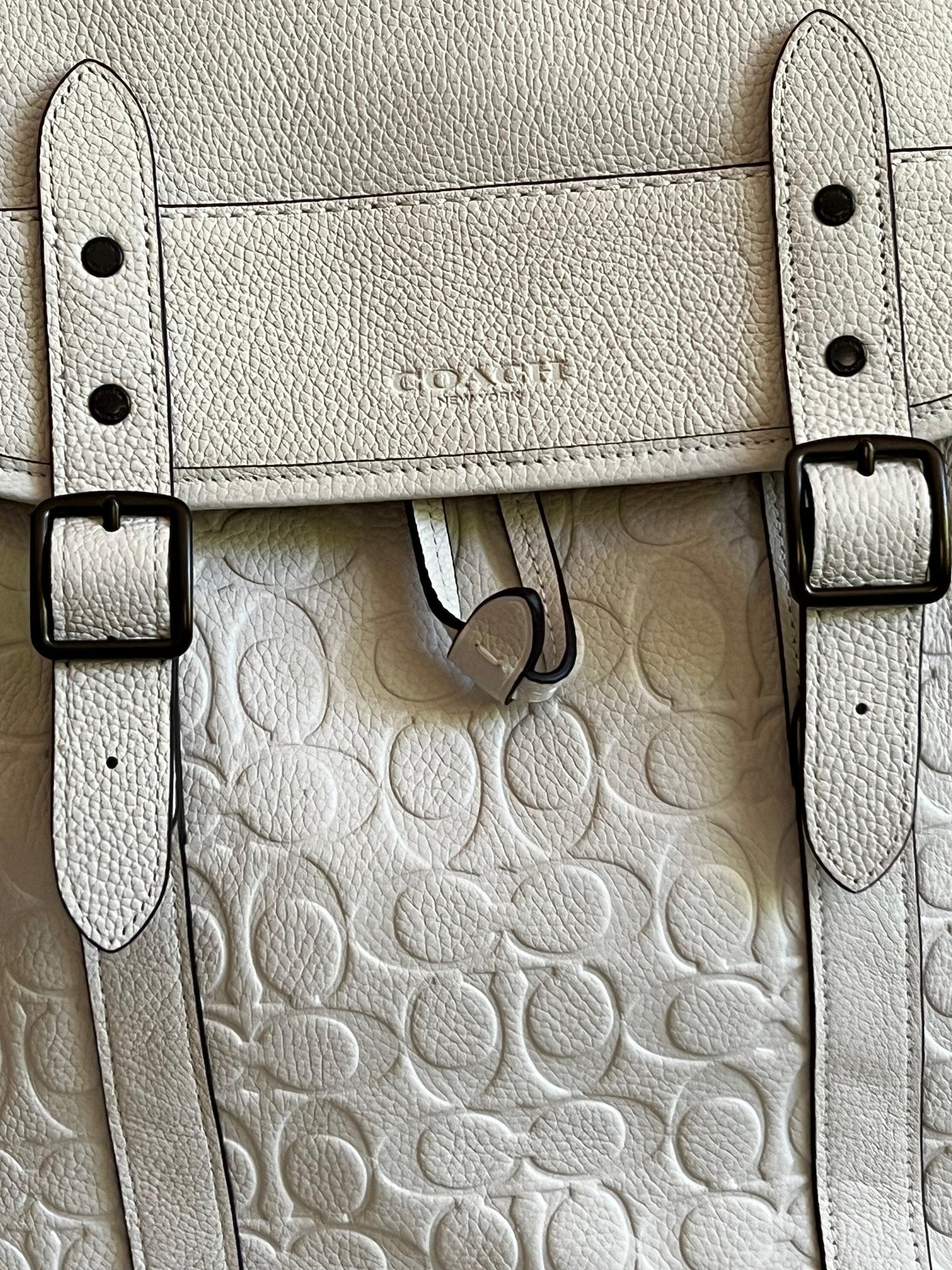 Coach Hitch Backpack in Signature Leather