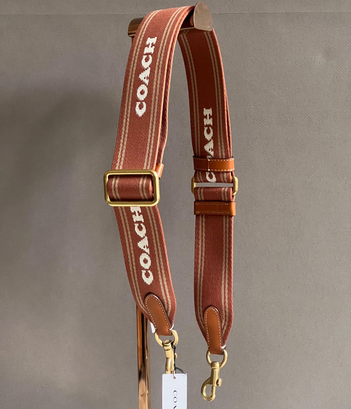 Coach Colorblock Webbing Strap