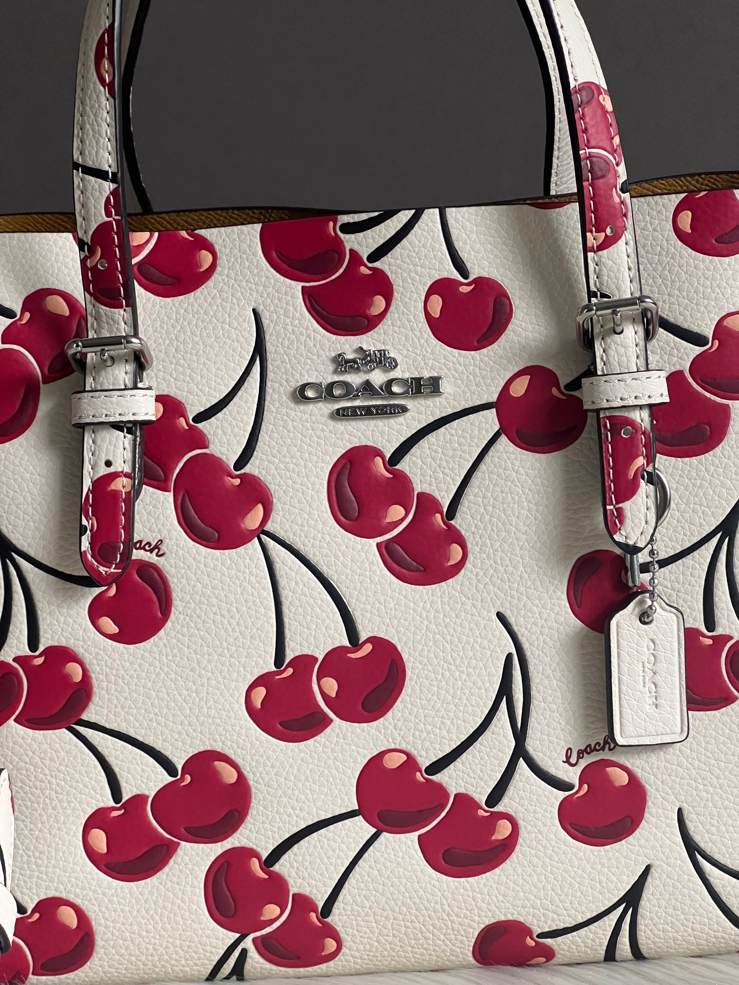 Coach Mollie Tote Bag 25 With Cherry Print