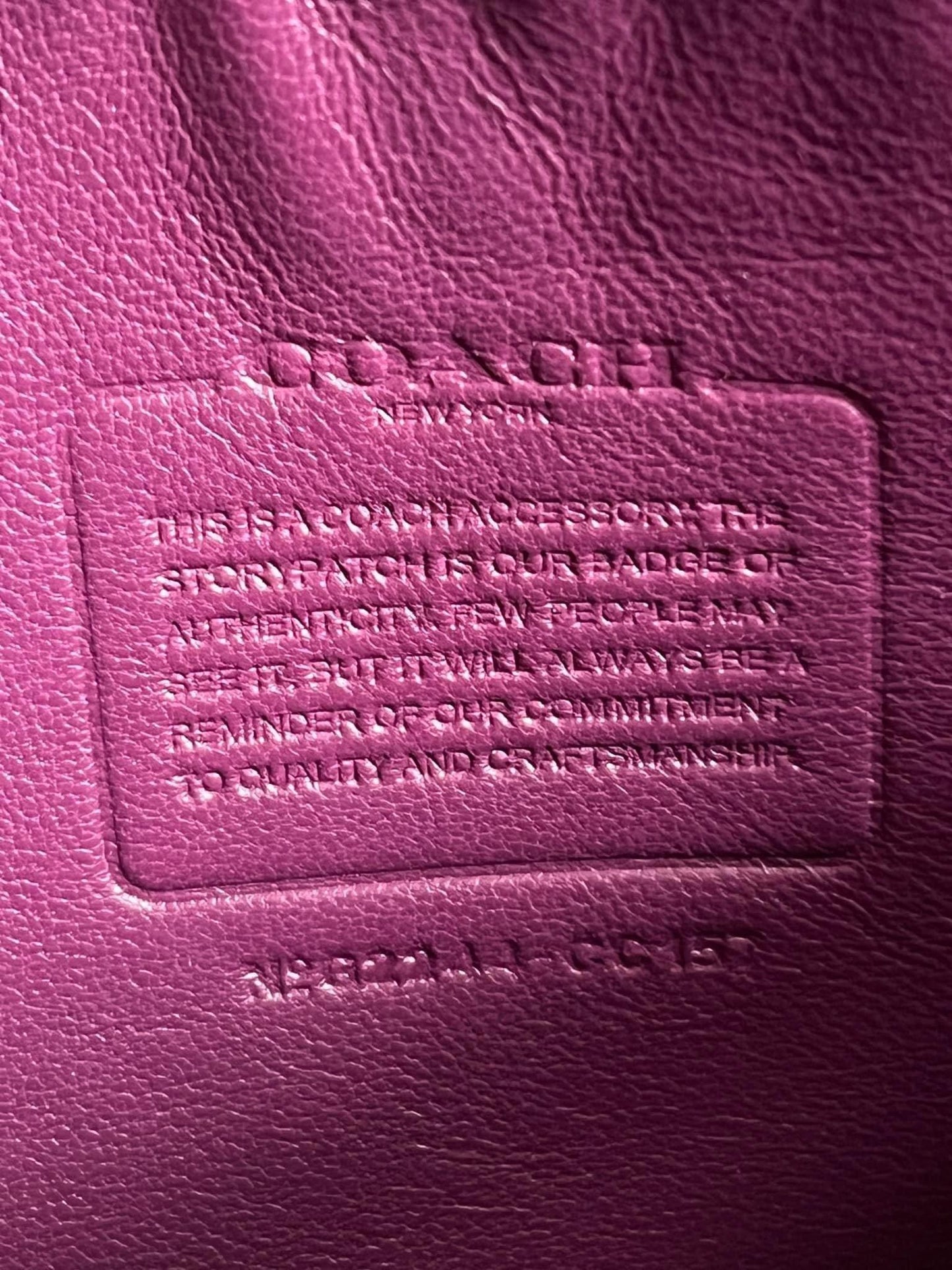 Coach Charter Pouch in Signature Shearling