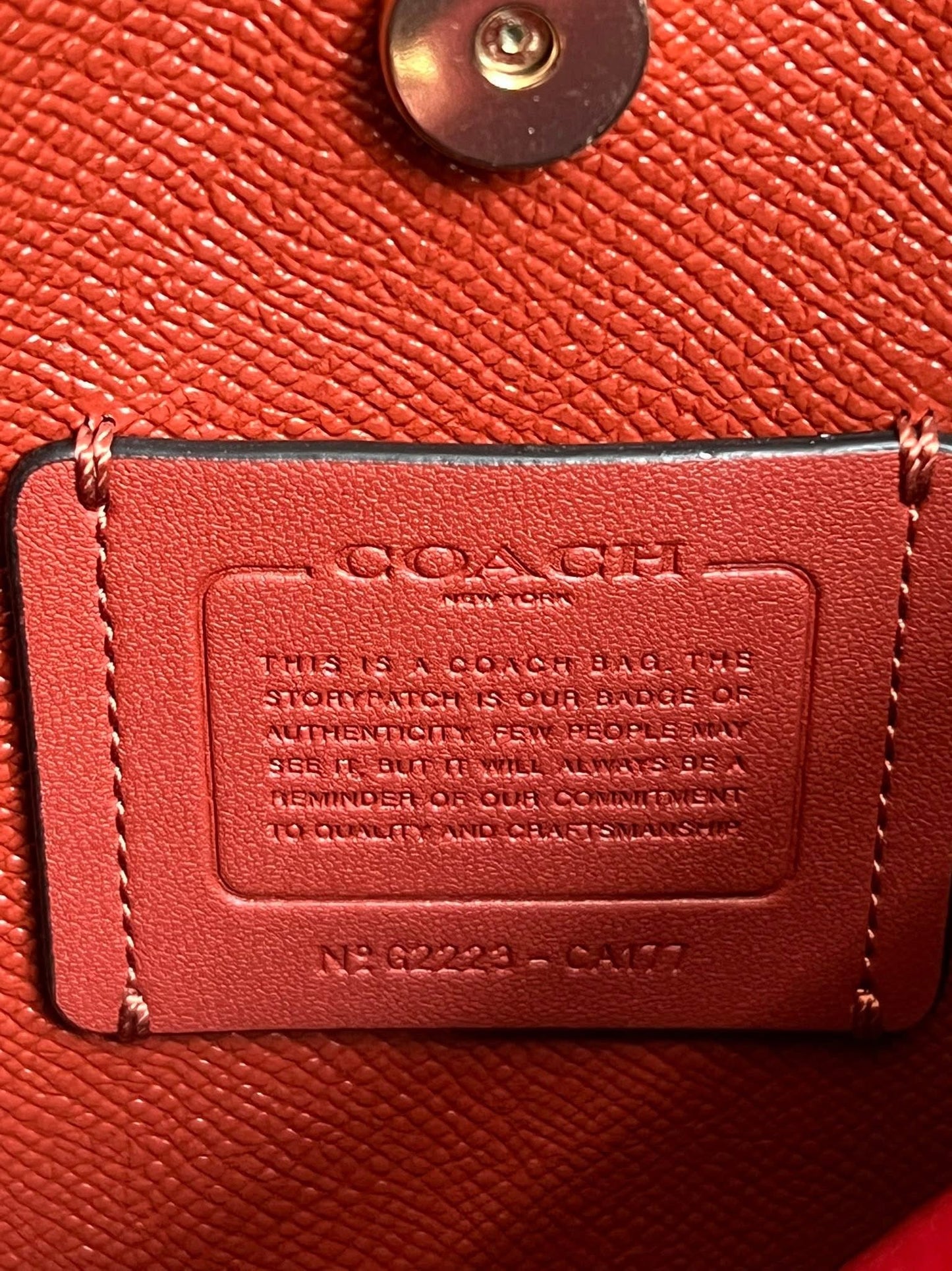 Coach Mollie Bucket Bag 22