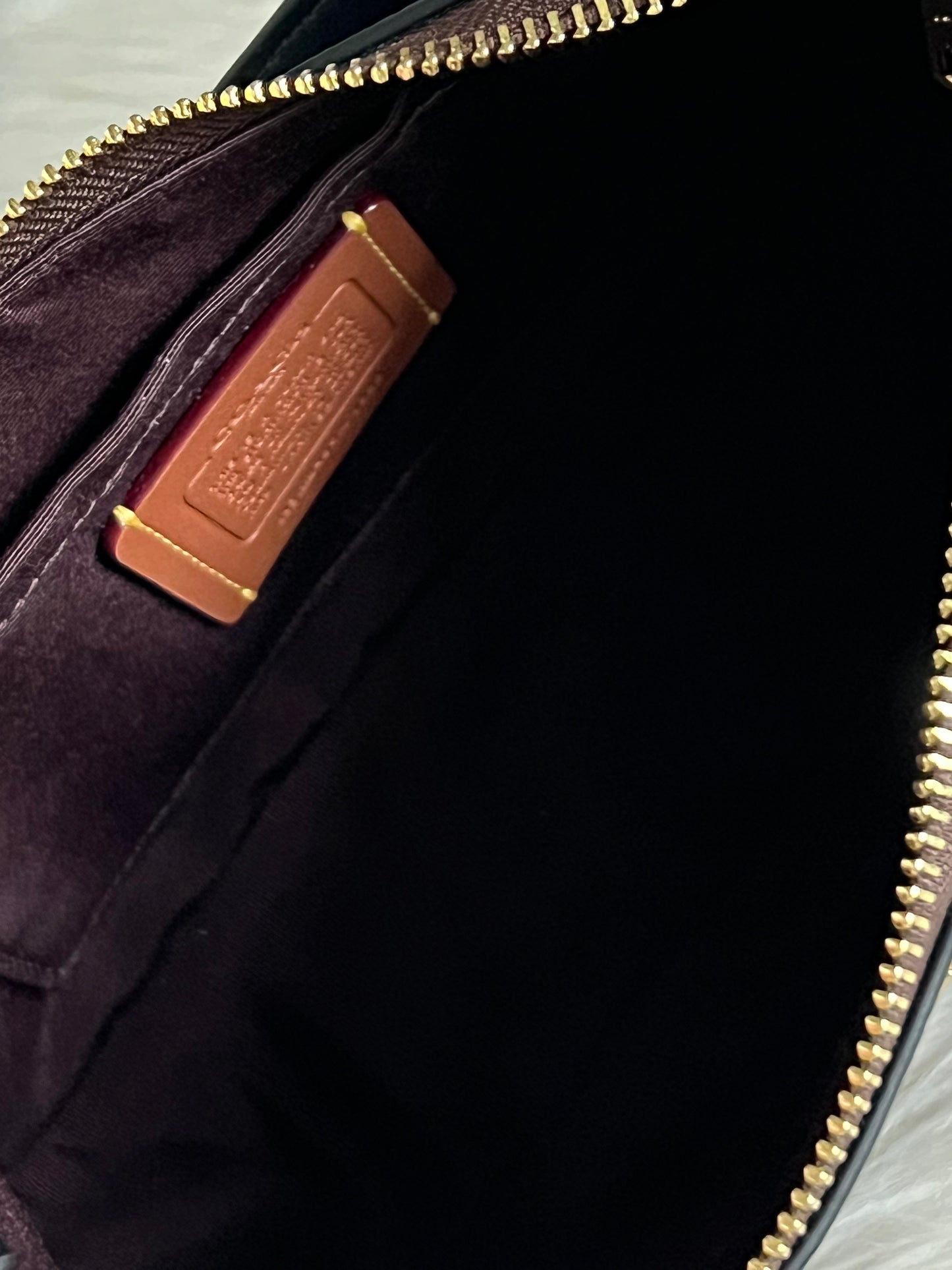 Coach Teri Shoulder Bag in Signature Canvas