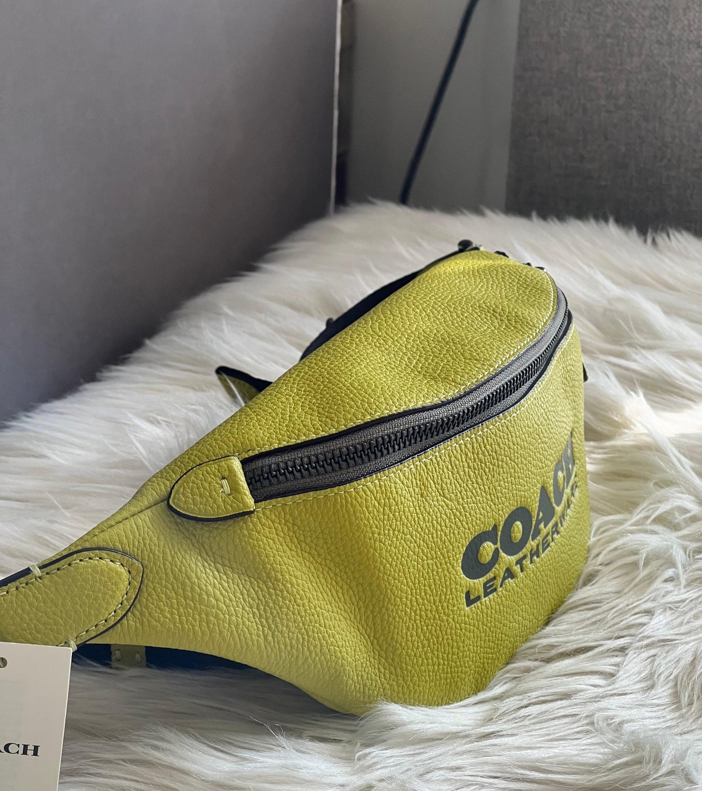 Coach Charter Belt Bag 7