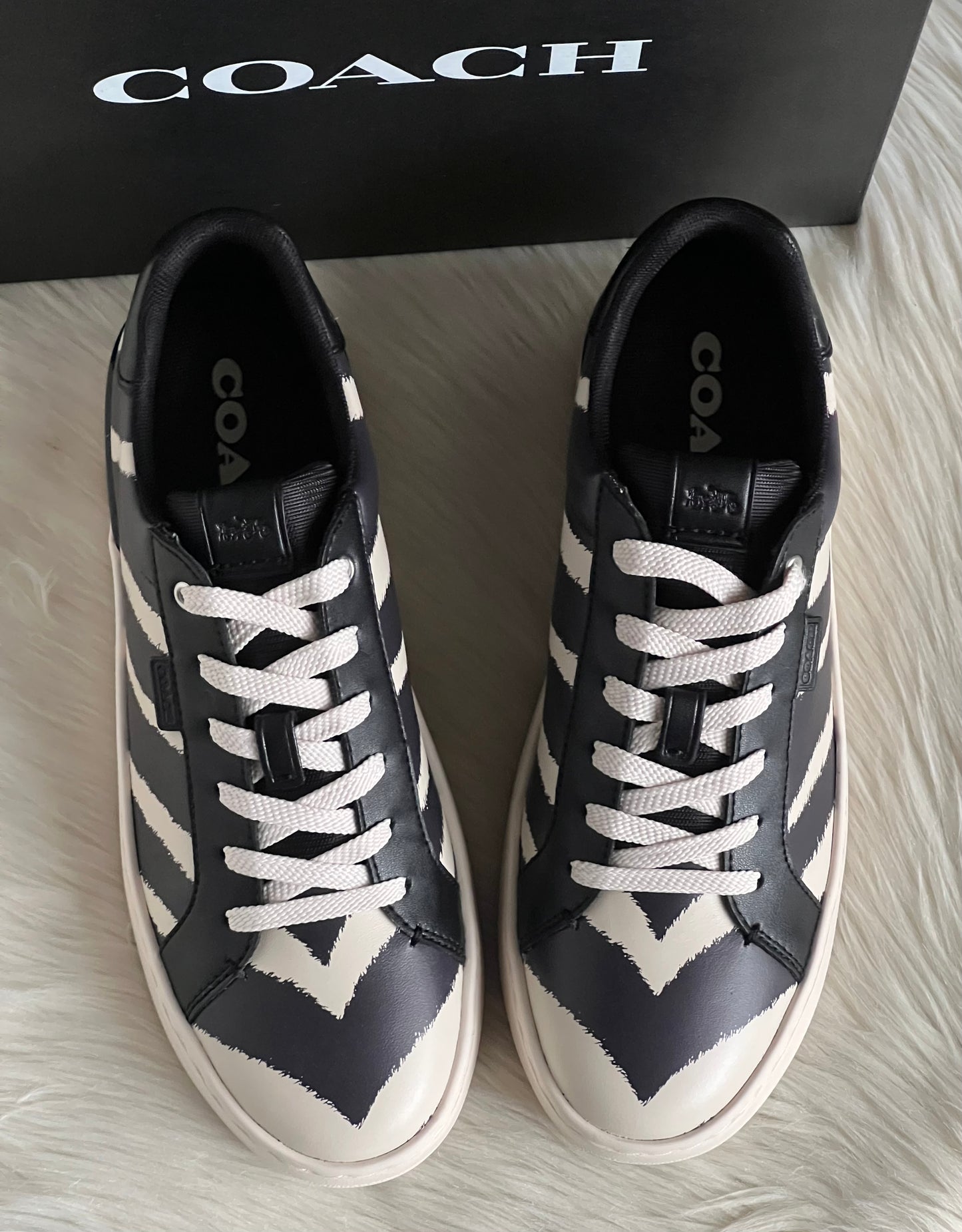 Coach Lowline Low Top Sneaker with Print