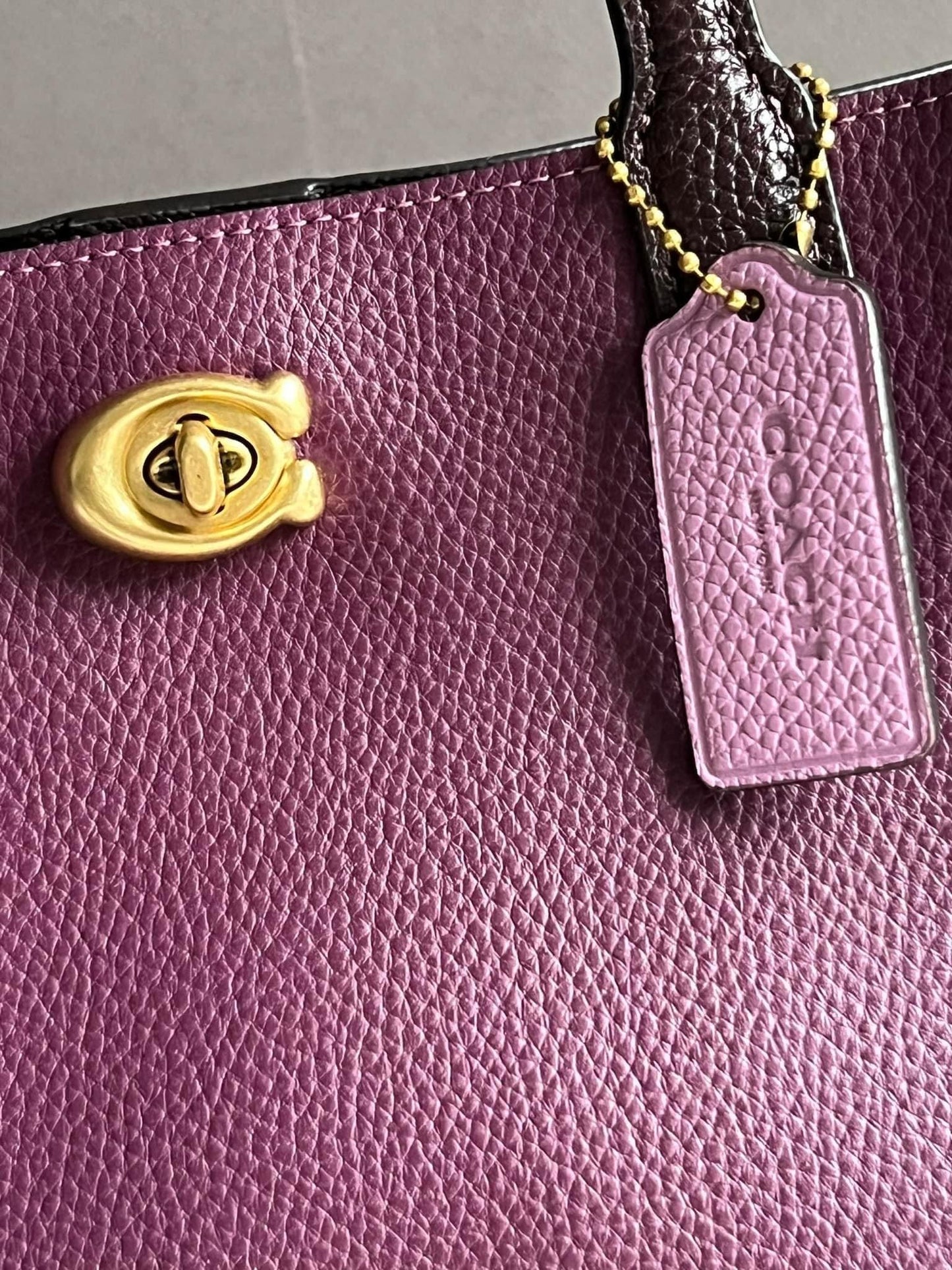 Coach Willow Tote 24 in Colorblock