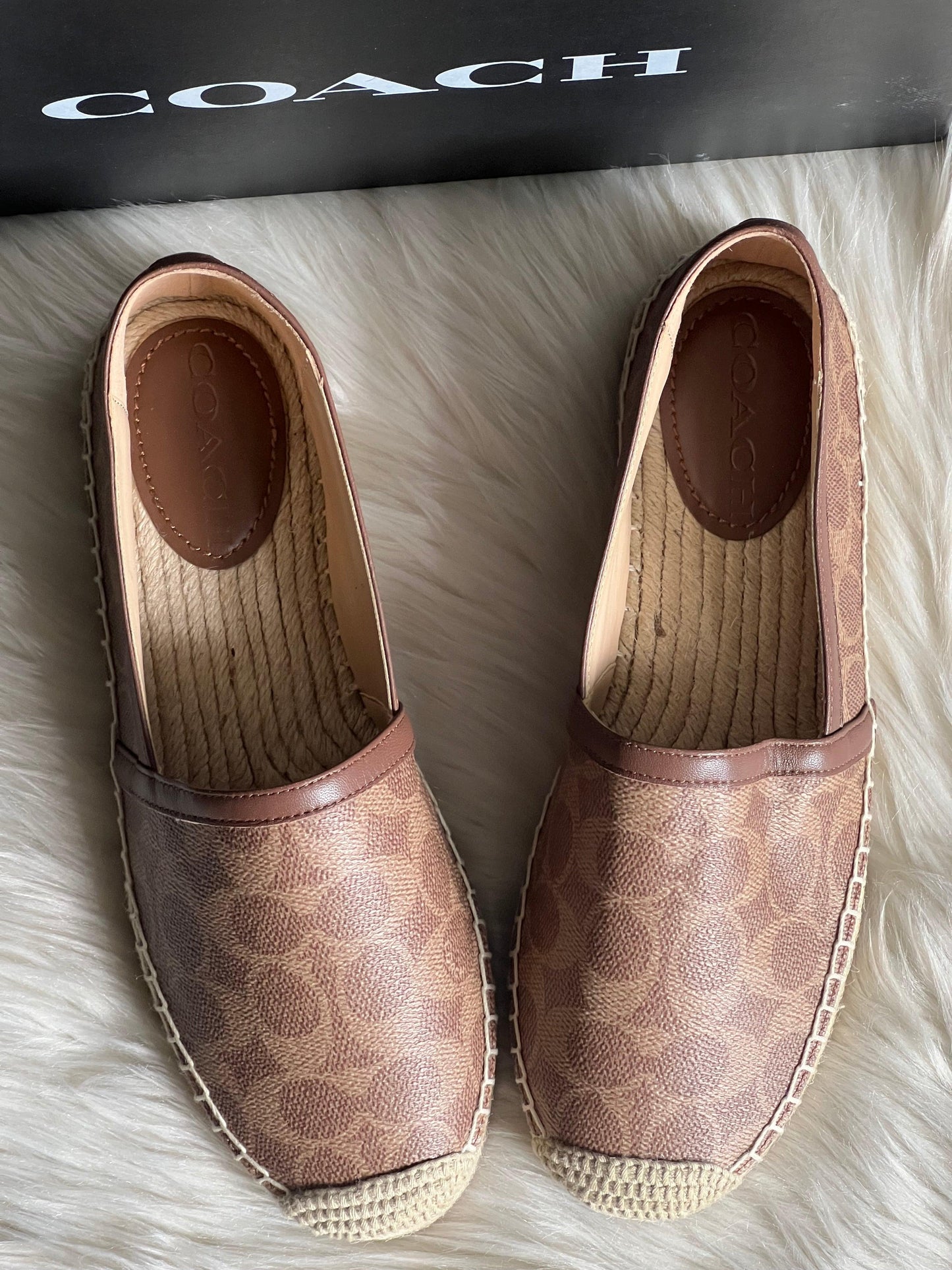 Coach Collins Espadrille in Signature Canvas