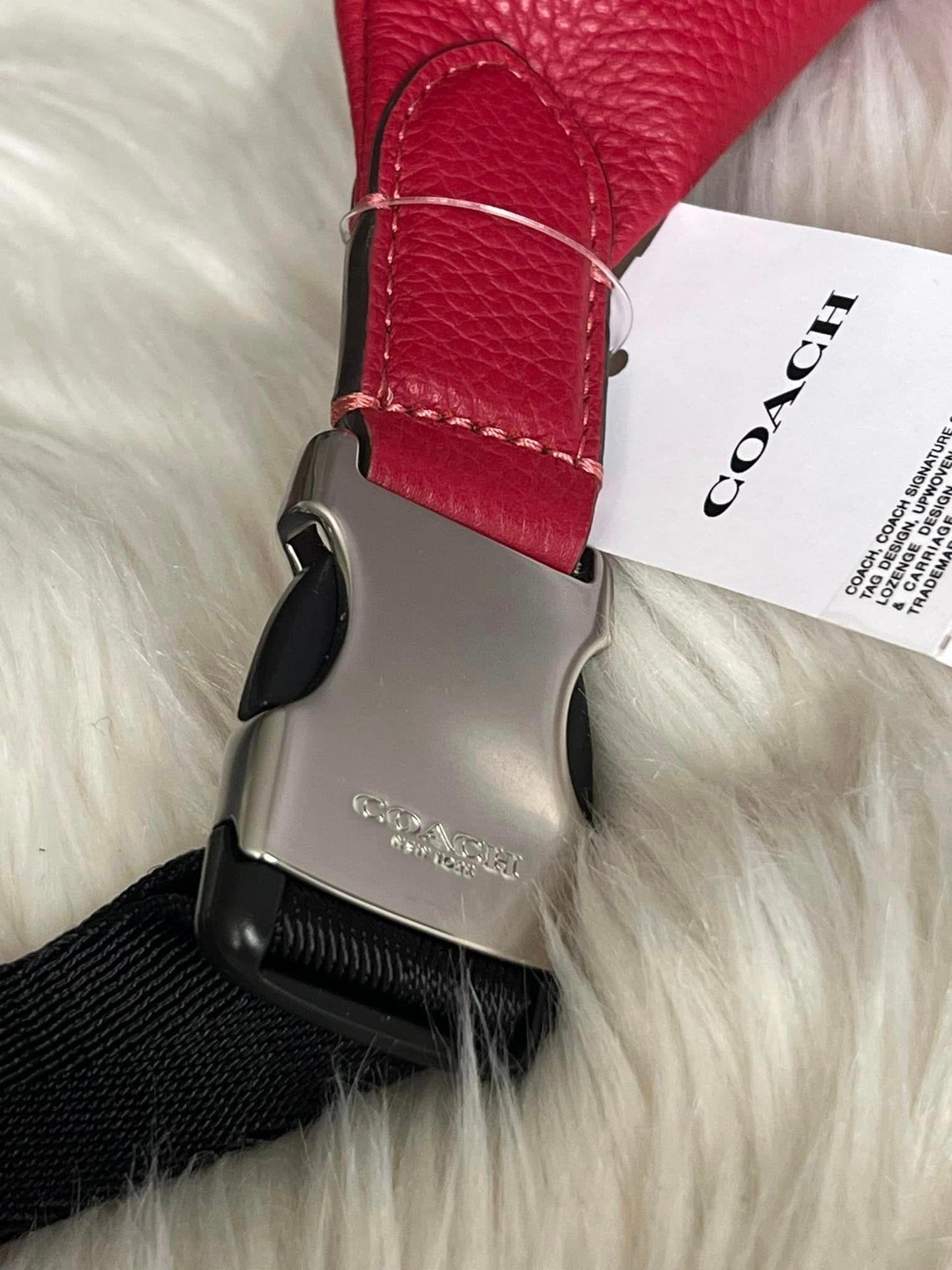 Coach Charter Belt Bag 7