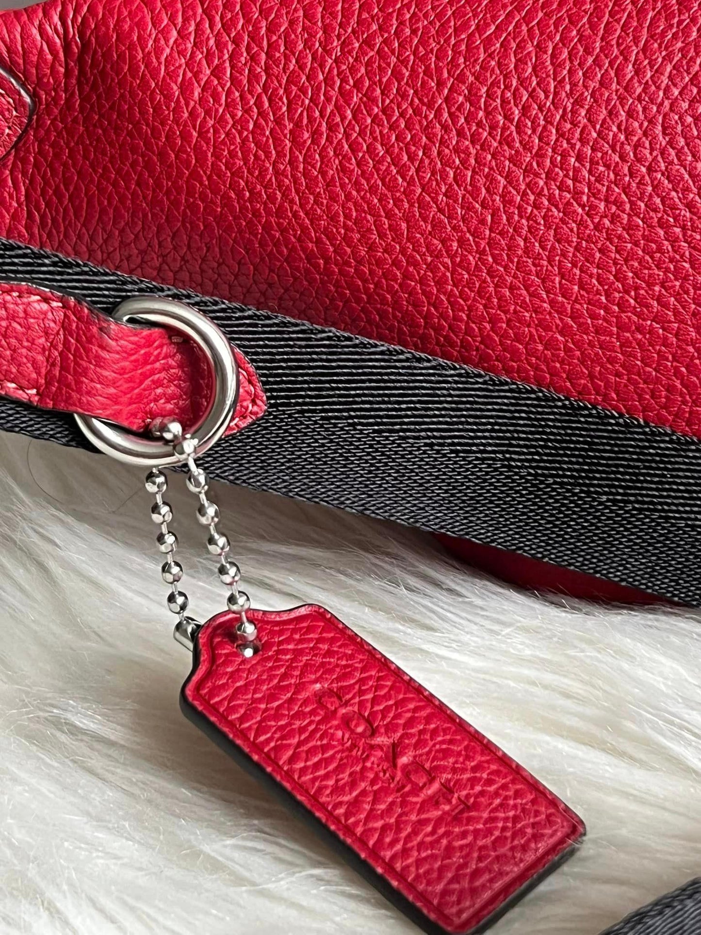 Coach Charter Belt Bag 7