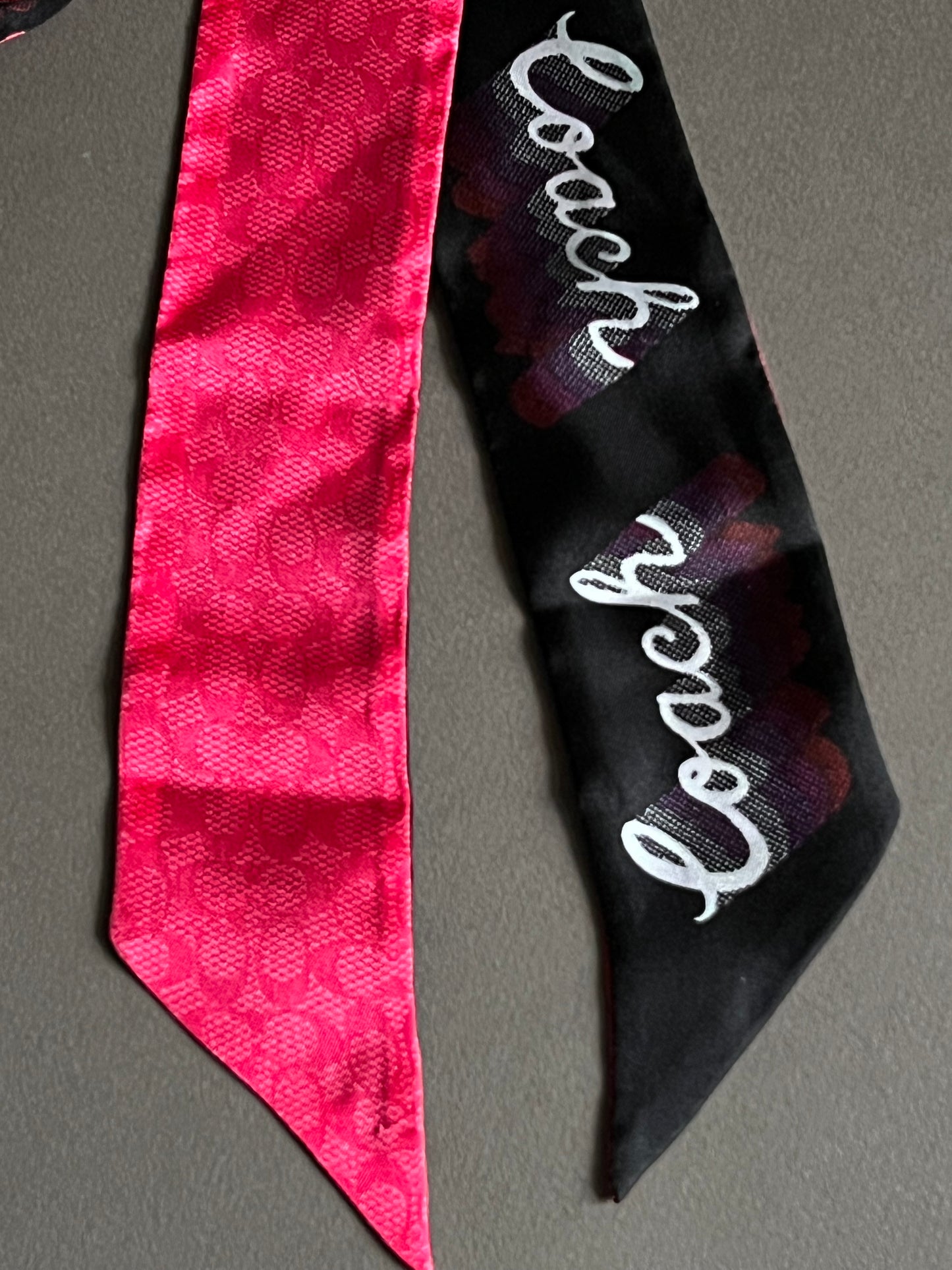 Coach Skinny Scarf/Bag Twilly