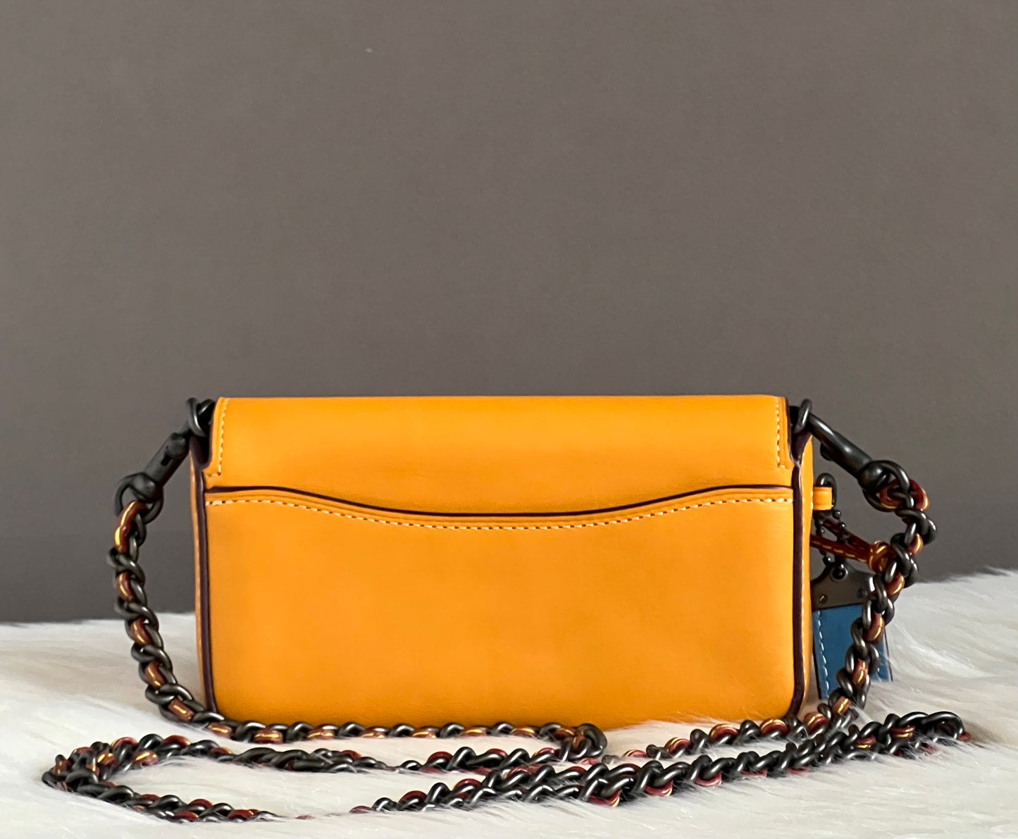 Coach Link Dinkier With Colorblock Crossbody
