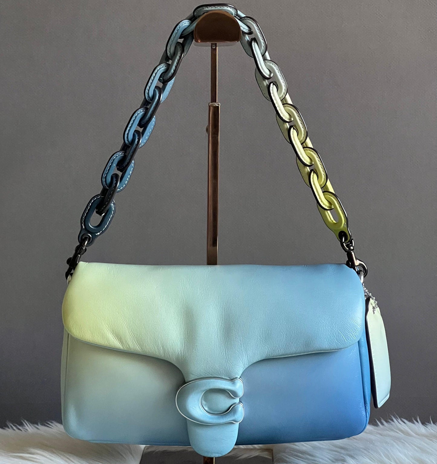 Coach Leather Covered Short Chain Strap
