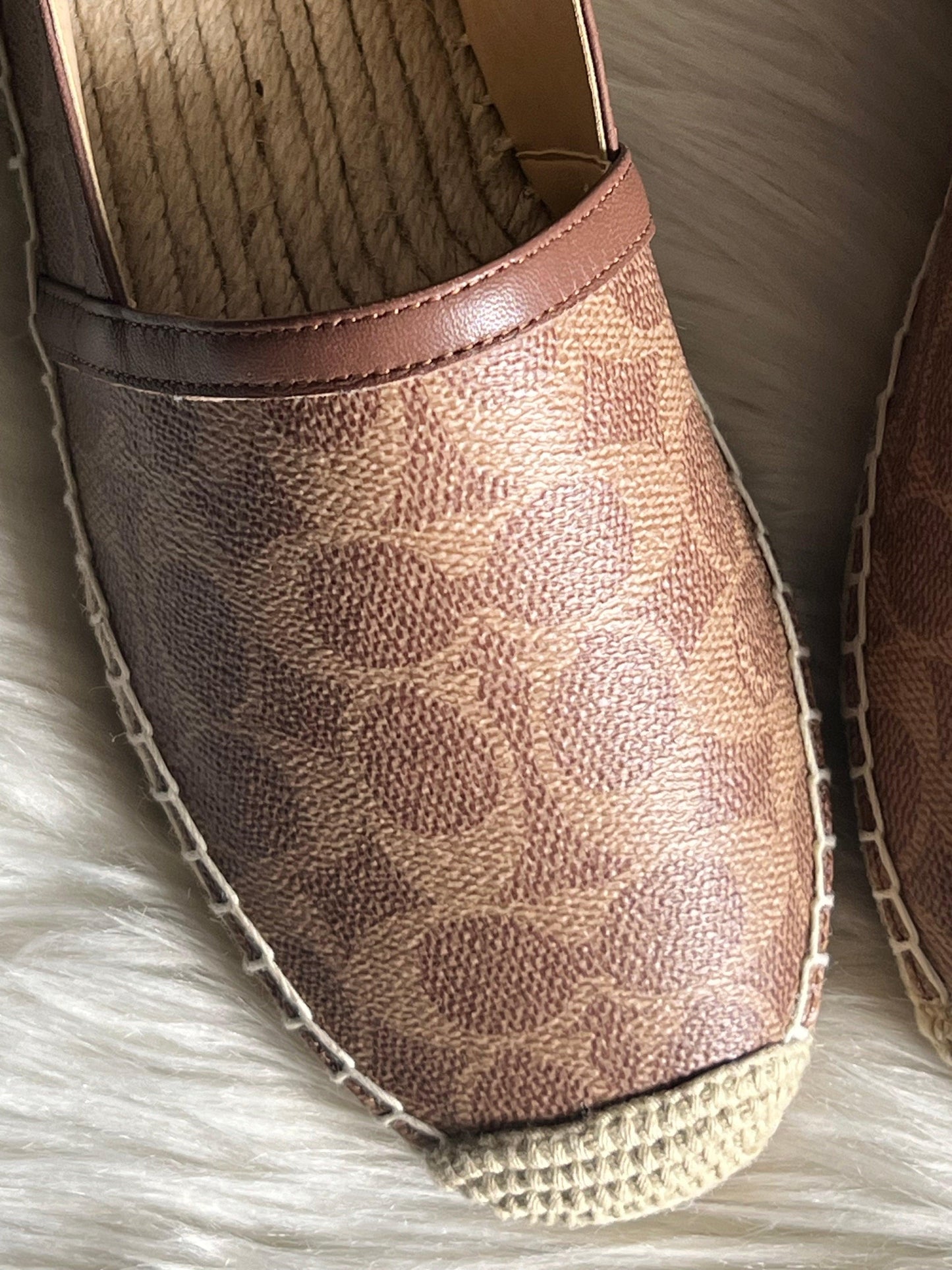 Coach Collins Espadrille in Signature Canvas