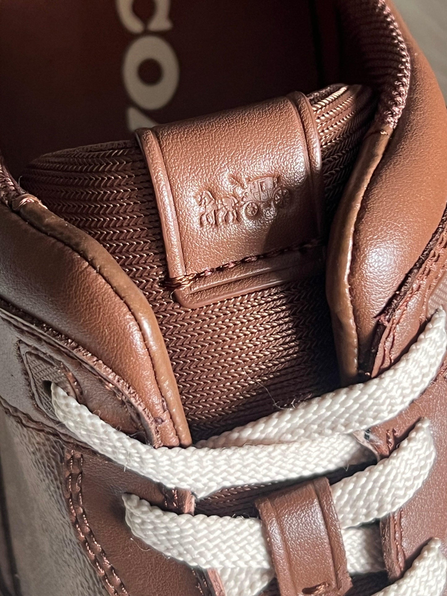 Coach Sneaker in Signature Canvas